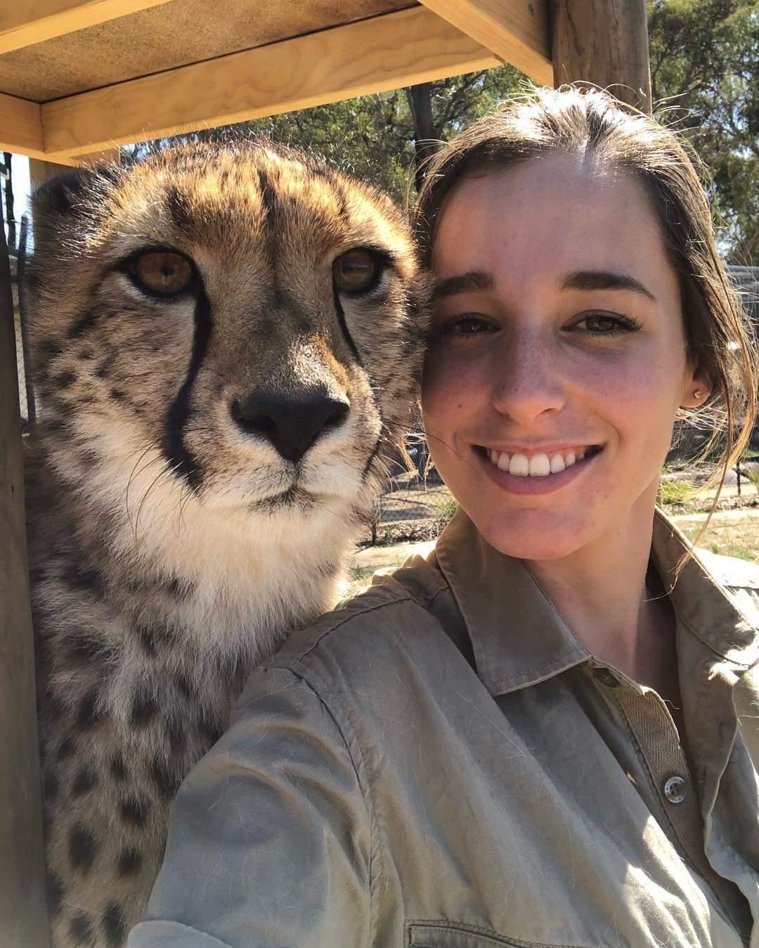 Girl with cats) - Small cats, Cheetah, Caracal, Serval, Girls, Milota, Reserves and sanctuaries, Australia, Longpost, Wild cat center