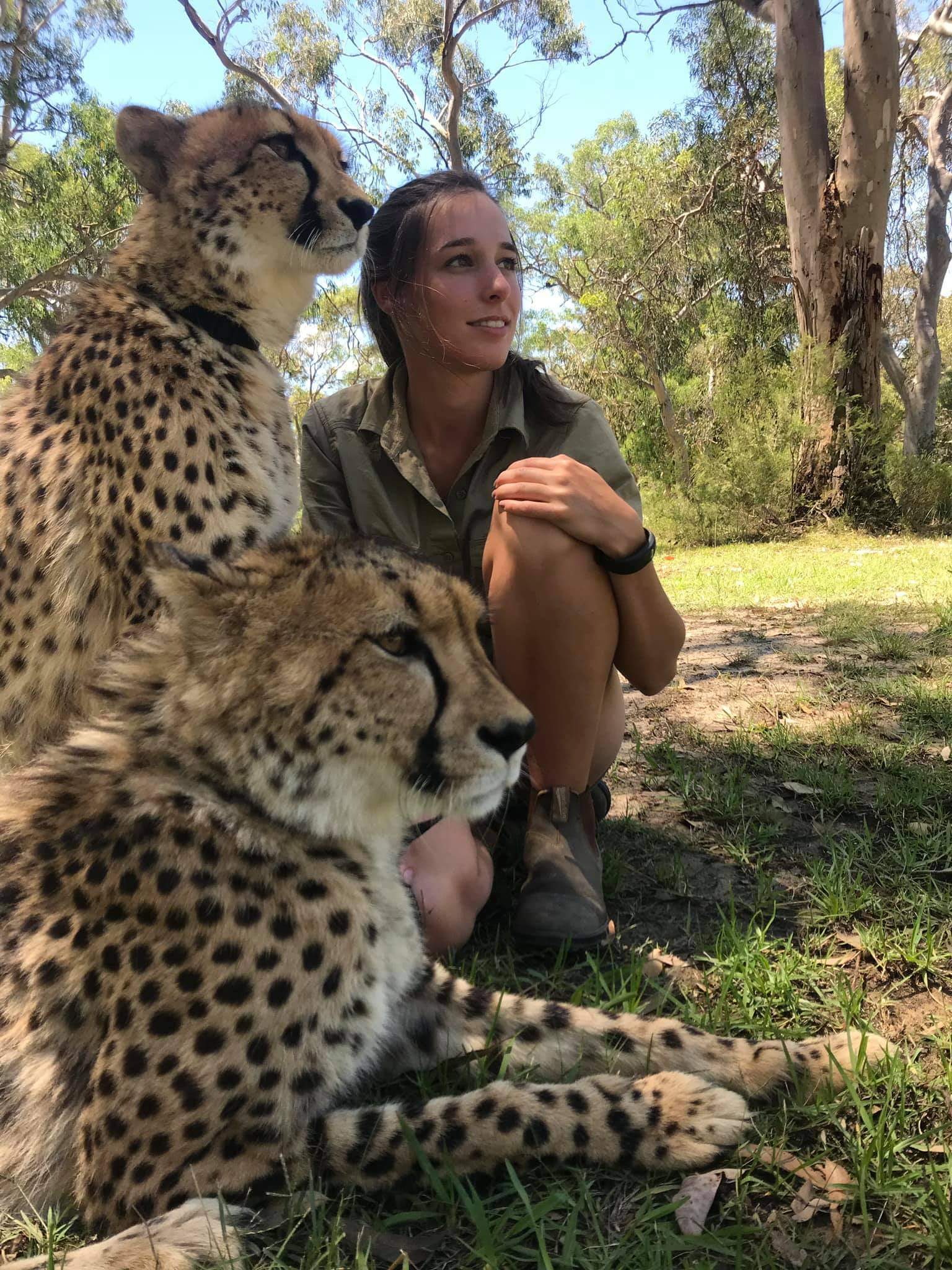 Girl with cats) - Small cats, Cheetah, Caracal, Serval, Girls, Milota, Reserves and sanctuaries, Australia, Longpost, Wild cat center