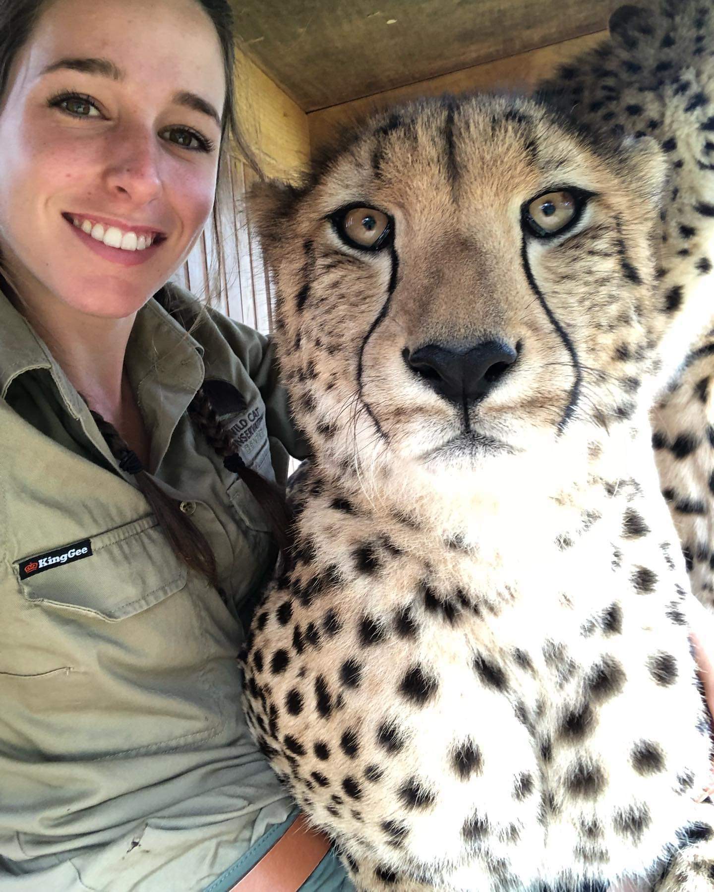 Girl with cats) - Small cats, Cheetah, Caracal, Serval, Girls, Milota, Reserves and sanctuaries, Australia, Longpost, Wild cat center