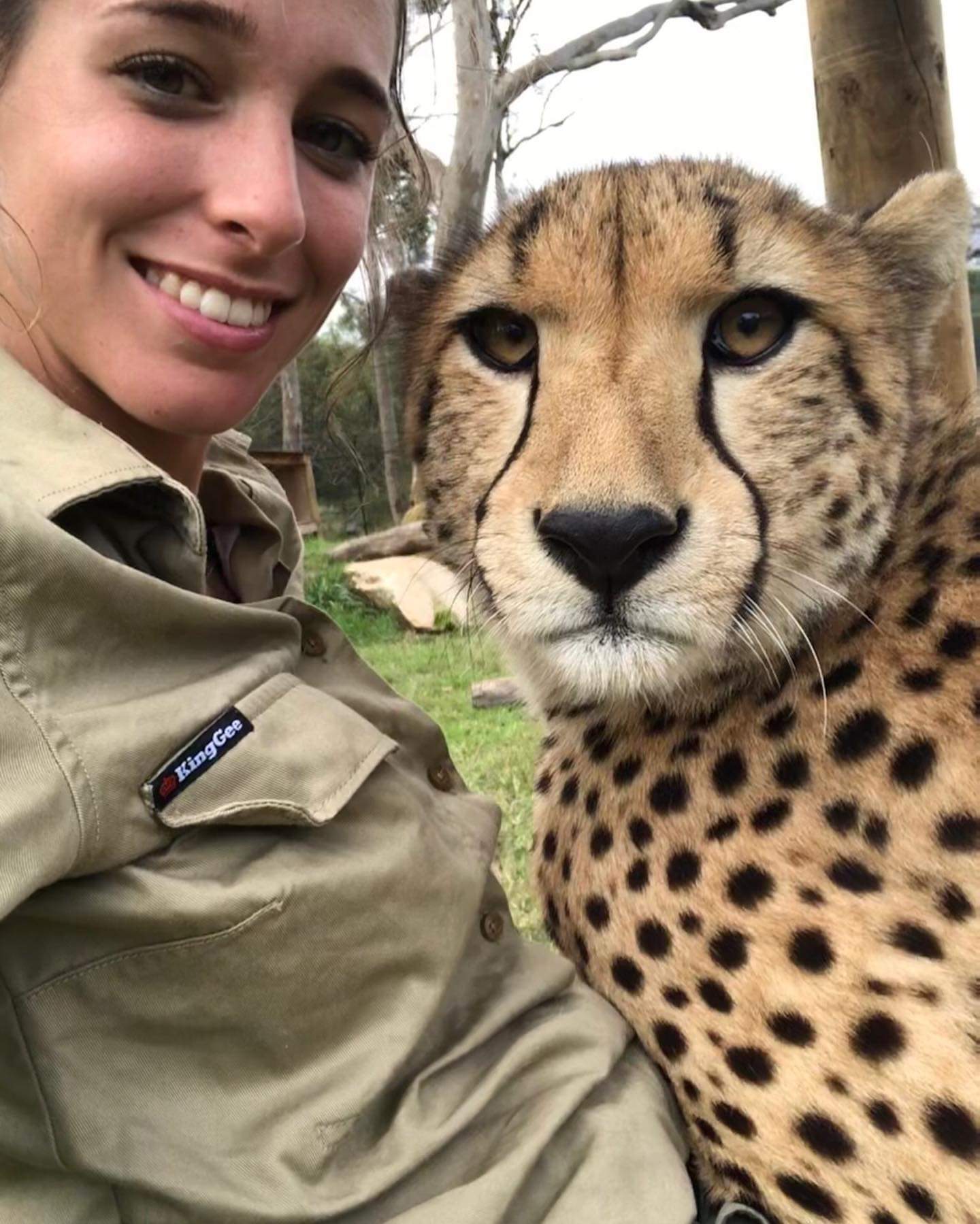 Girl with cats) - Small cats, Cheetah, Caracal, Serval, Girls, Milota, Reserves and sanctuaries, Australia, Longpost, Wild cat center