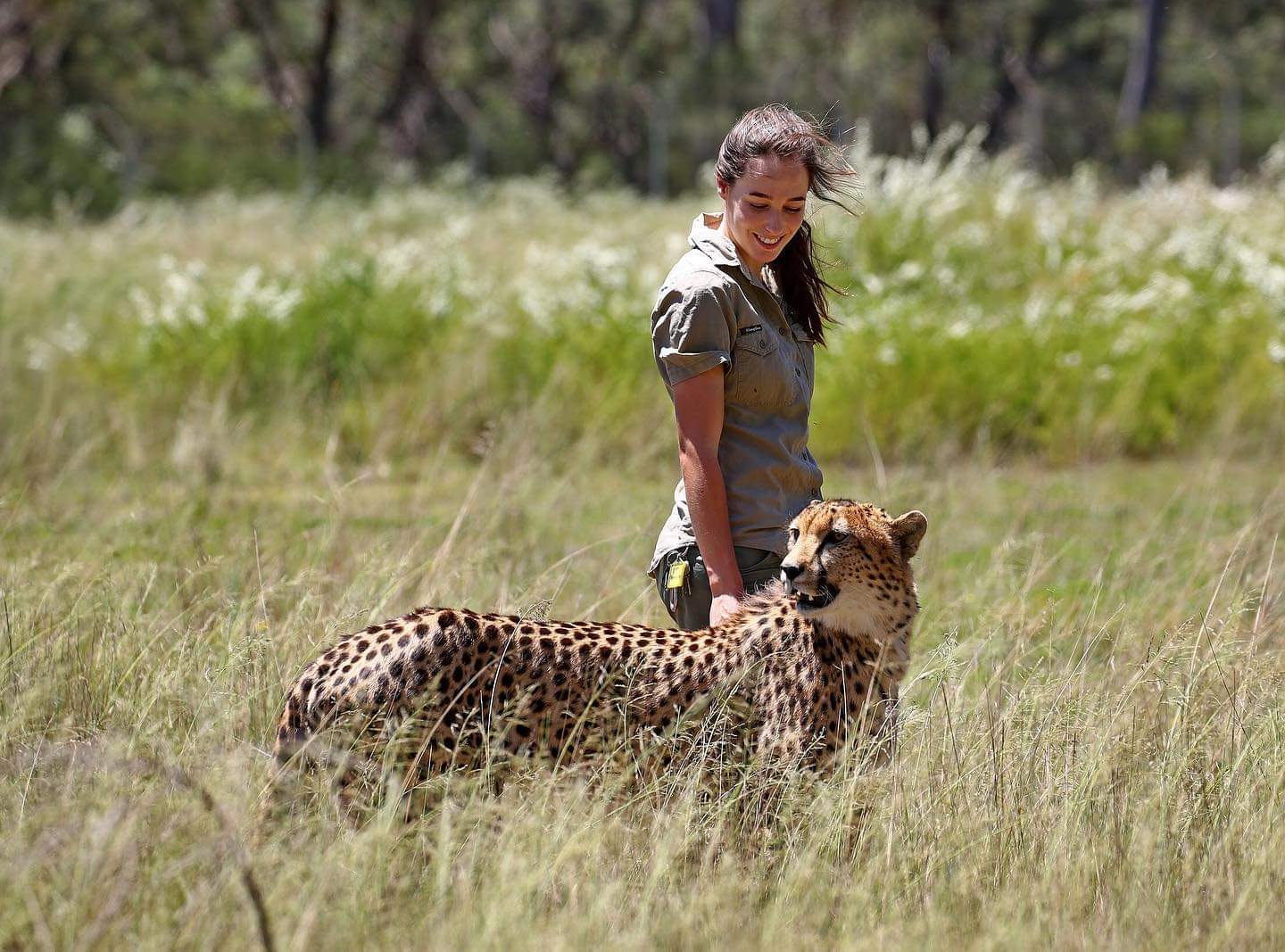 Girl with cats) - Small cats, Cheetah, Caracal, Serval, Girls, Milota, Reserves and sanctuaries, Australia, Longpost, Wild cat center