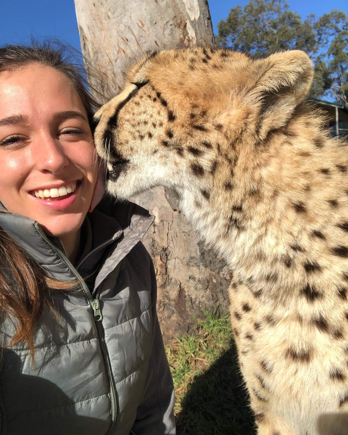 Girl with cats) - Small cats, Cheetah, Caracal, Serval, Girls, Milota, Reserves and sanctuaries, Australia, Longpost, Wild cat center