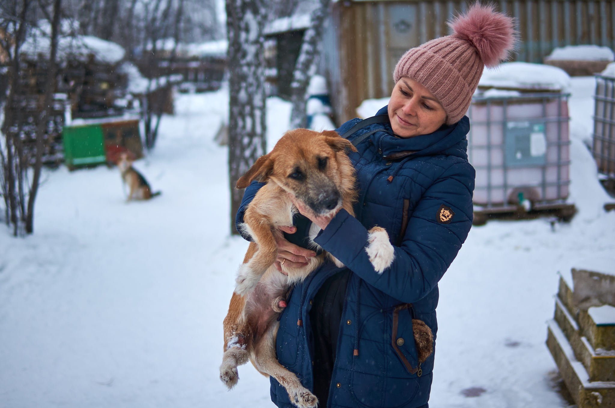 Mutilated animals of Novosibirsk received a Presidential Grant - My, Novosibirsk, Homeless animals, Veterinary, Media and press, Volunteering, news, Animal Rescue, Animal shelter, Longpost