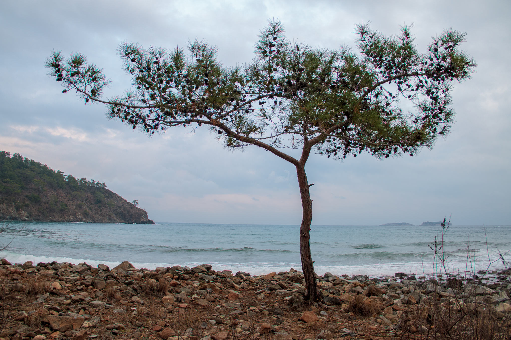 Photos from a hike along the Lycian Way for the New Year holidays - My, Turkey, Lycian Trail, Nature, Sunrises and sunsets, Ruin, Sea, The photo, The mountains, Longpost