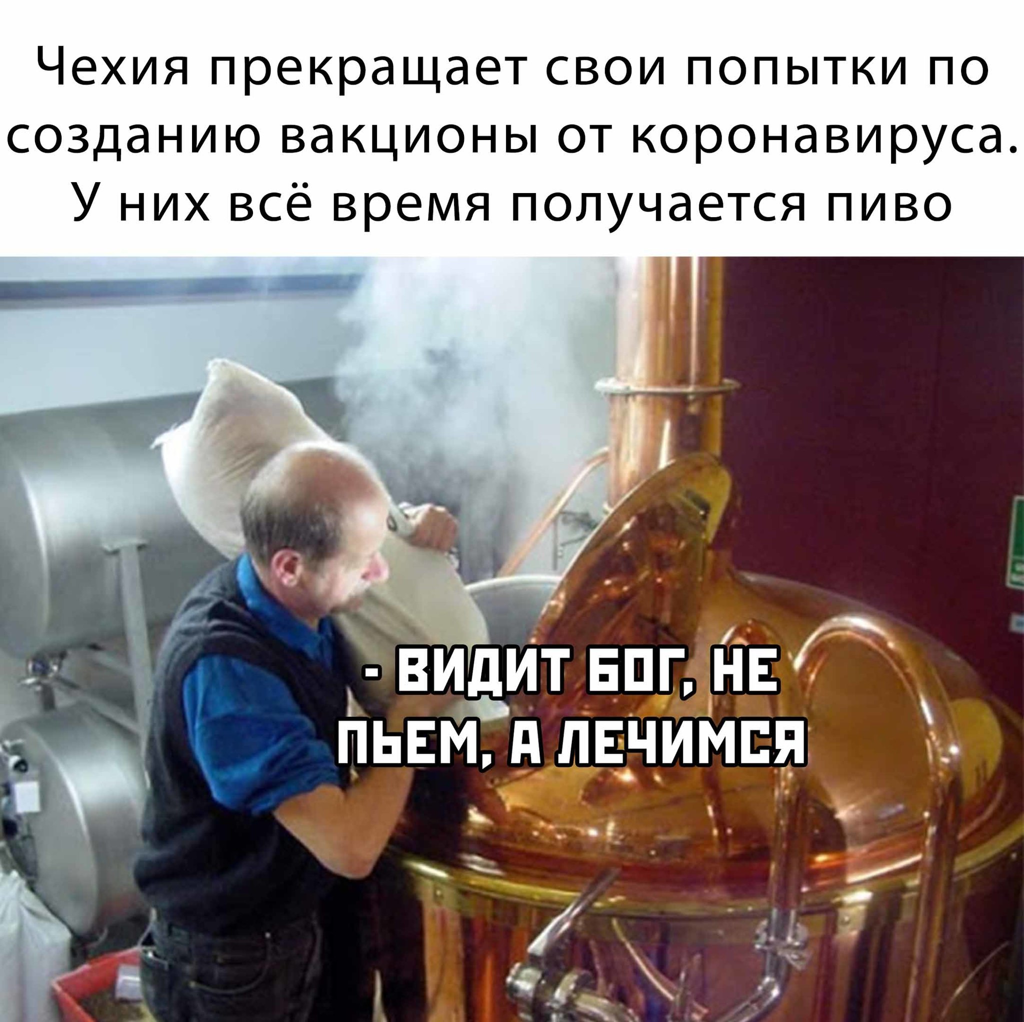 And the Kazakhs have kumiss - Vaccine, Beer, Czechs, Cooking, We drink, Treatment