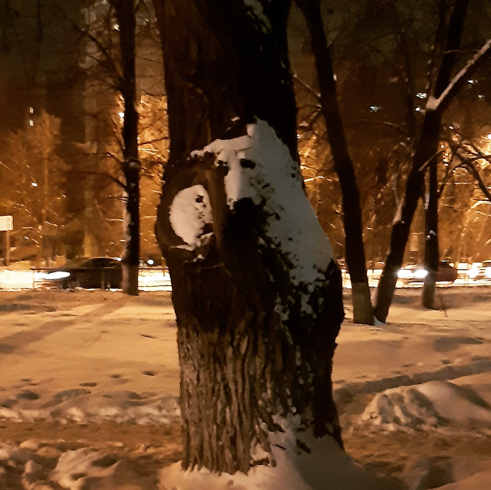 Kolobok-Kolobok, I will eat you! - My, Gingerbread man, Tree, Snow, Pareidolia