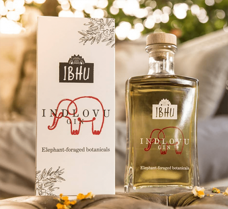 Unique Indlovu gin infused with elephant dung - Gin, Alcohol, Elephants, Manure, South Africa, Longpost