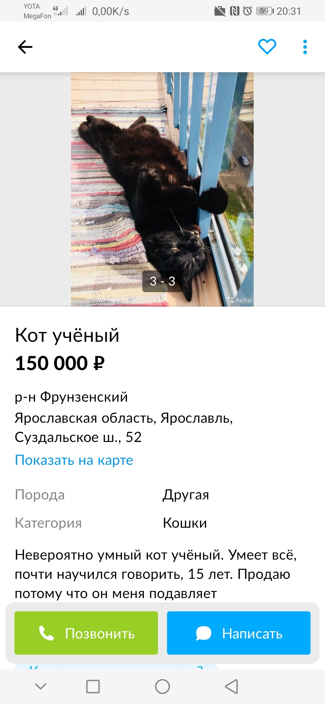 Забавный авито | Пикабу