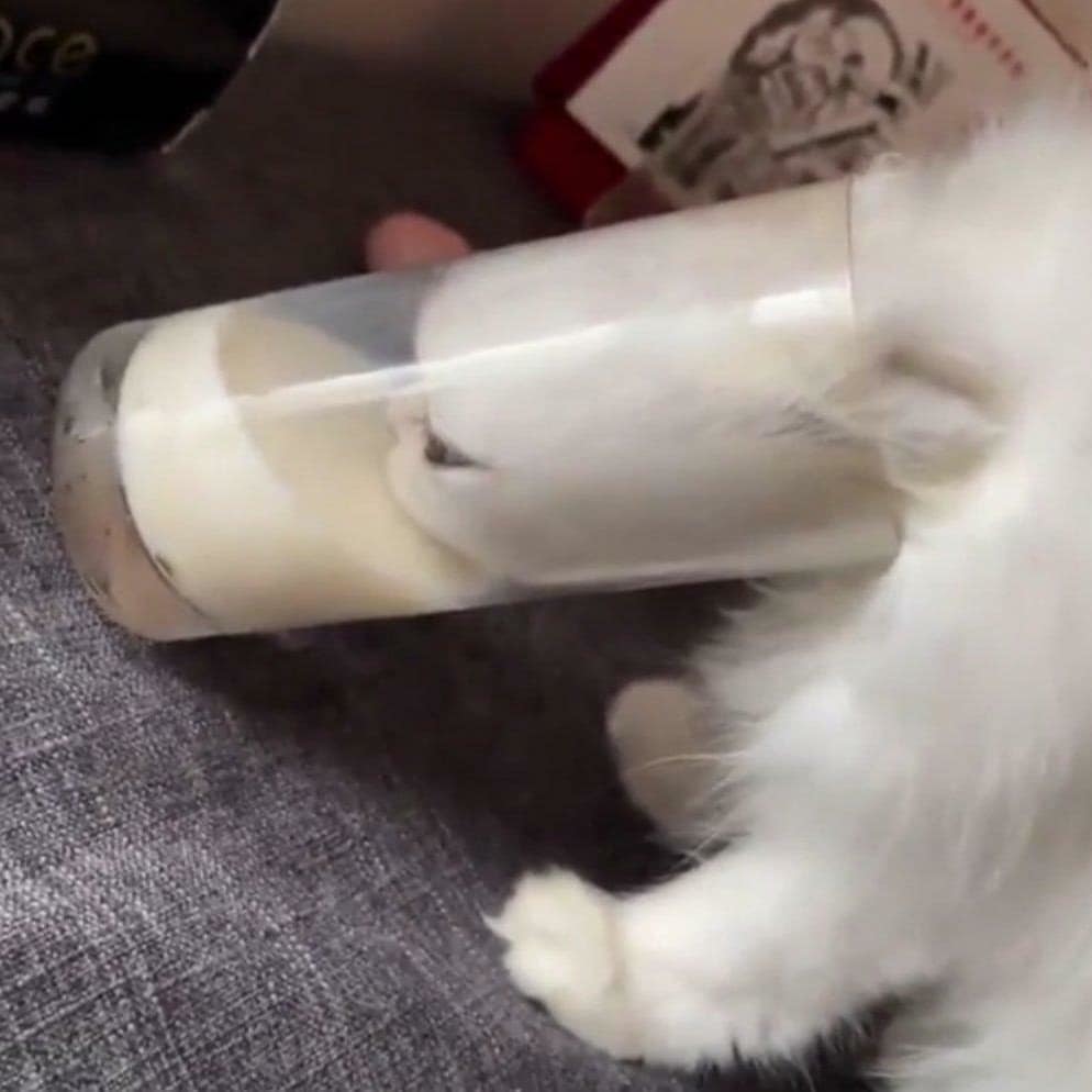 Milk in the glass, milk inside me, I am the milk! - cat, Milk