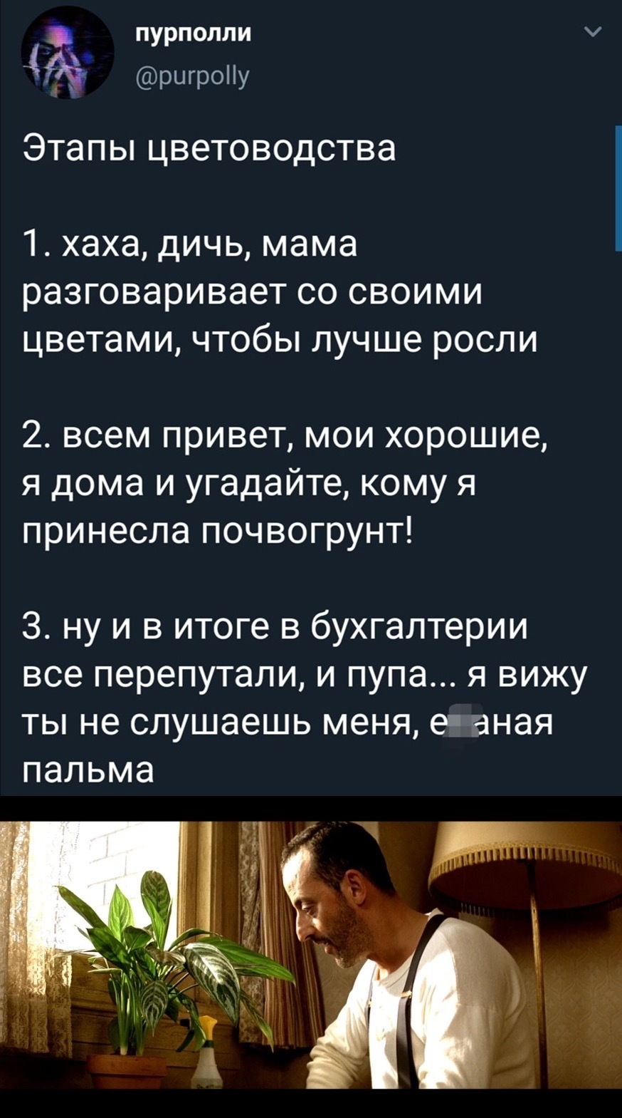 Этапы цветоводства - Картинка с текстом, Леон, Растения, Twitter