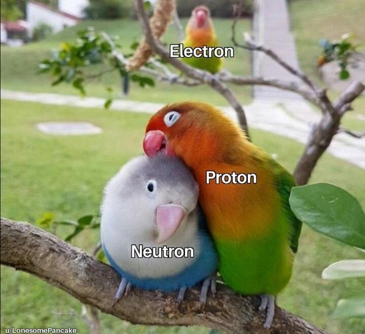 Sighs of the electron - Physics, Electrons, Proton, Neutron, A parrot, Picture with text