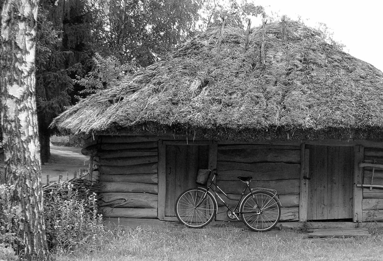 Bike - Story, Story, Feat, Yandex Zen, The Great Patriotic War, Longpost