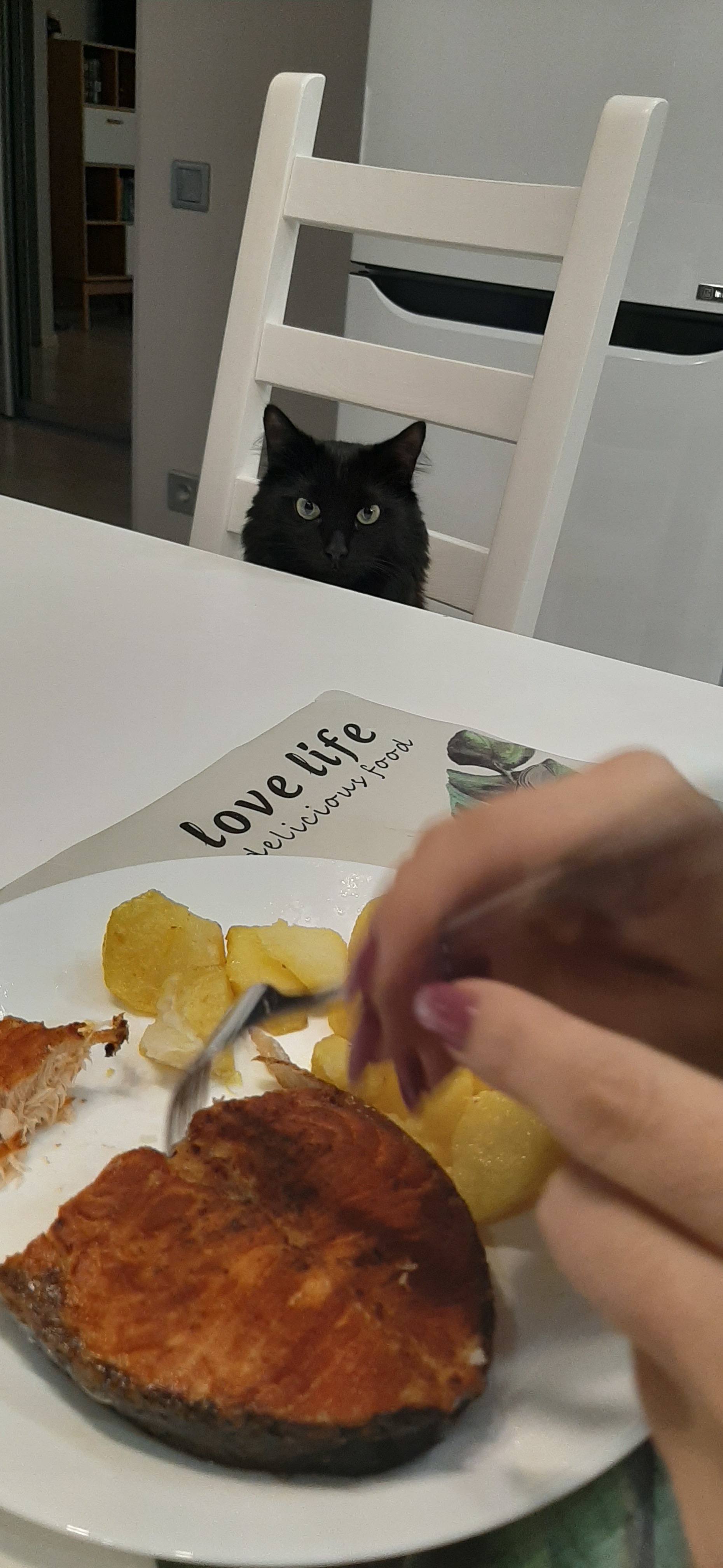 Bon appetit, miser - My, cat, Black cat, Dinner, Bon Appetit, Longpost