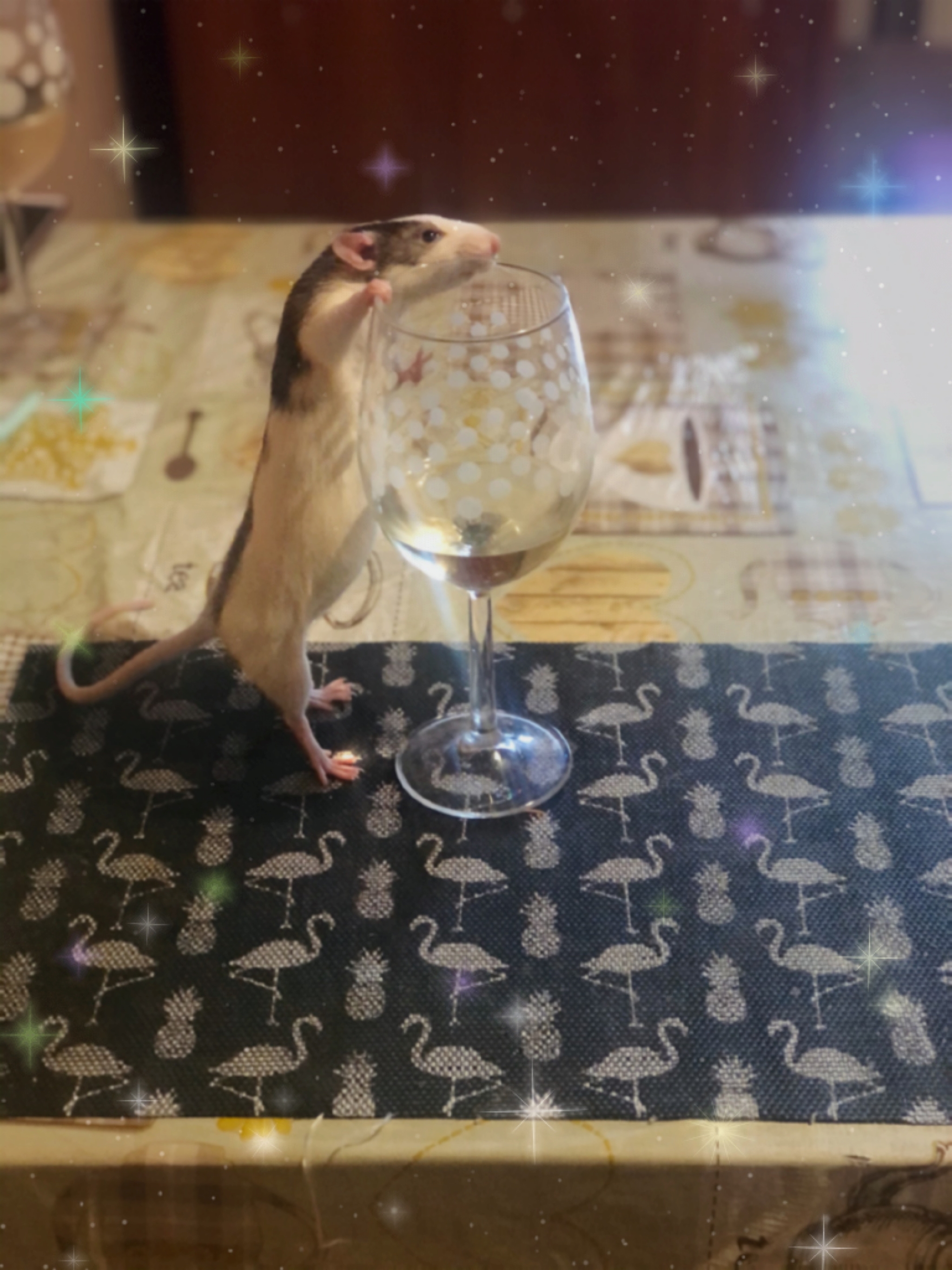 All that's left is to find a hare and teach him to smoke - My, Rat, Rodents, Wine, Drinking companion, Friends, The photo