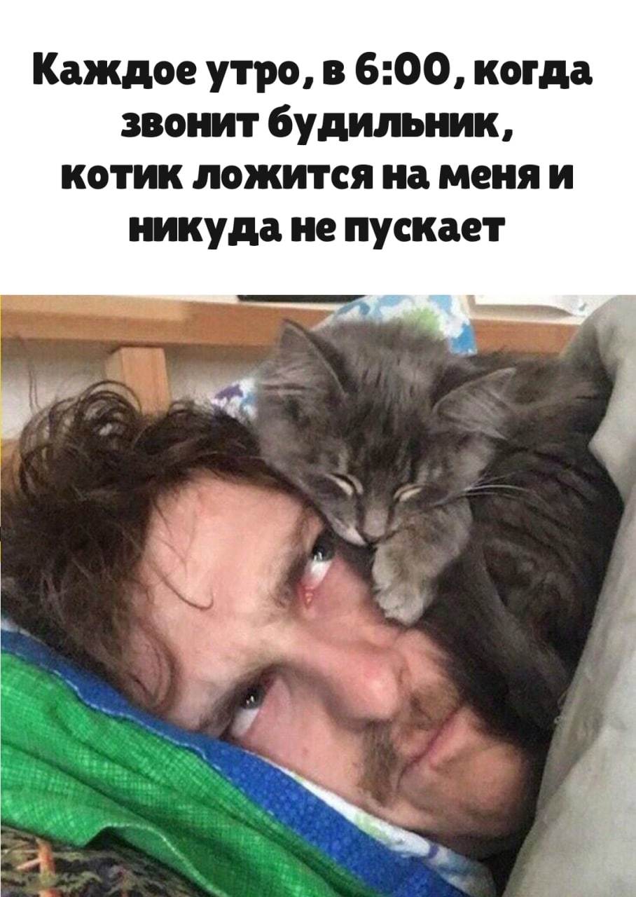 A true friend - cat, Picture with text, Dream, Friends