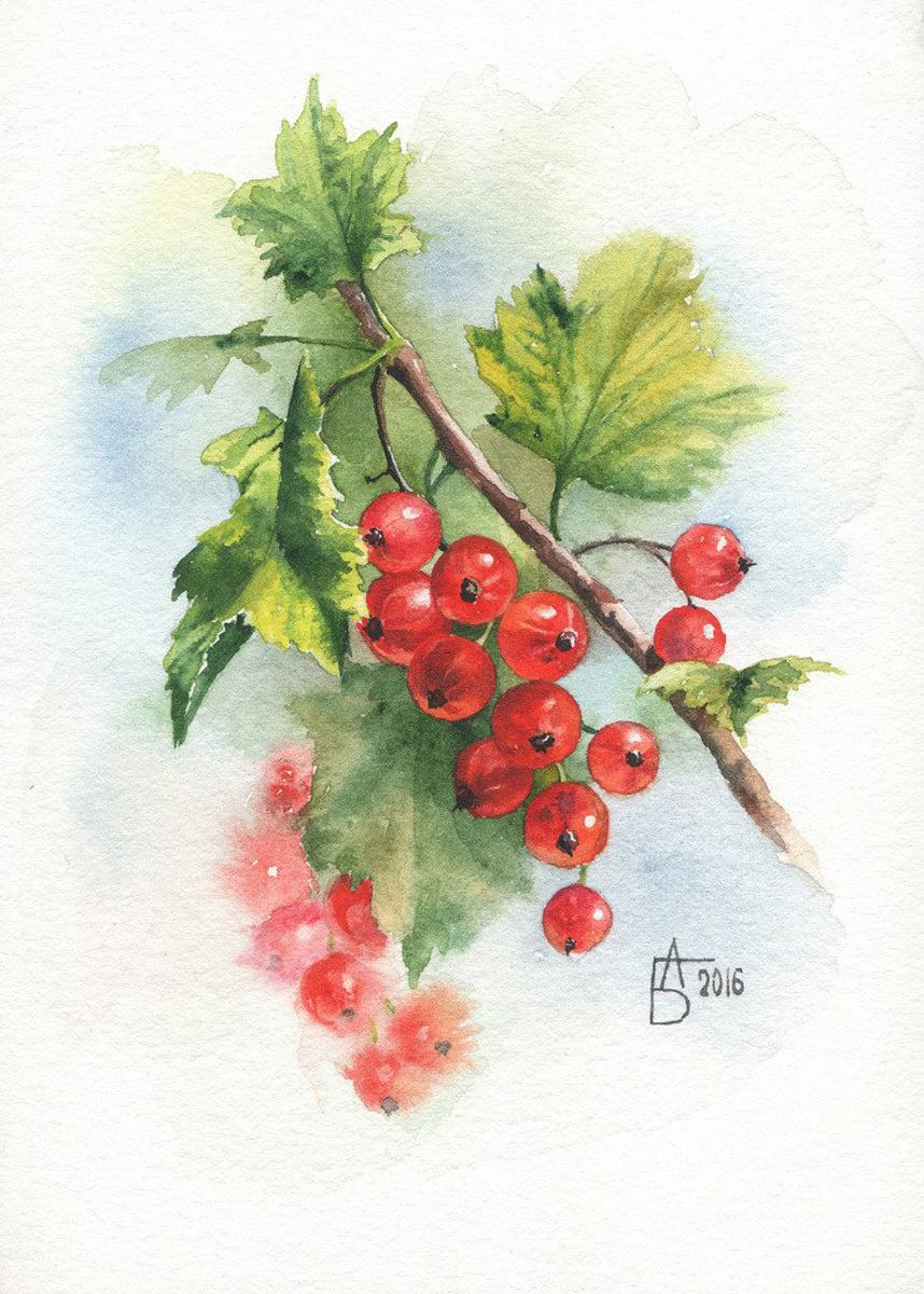 Berries - My, Watercolor, Painting, Berries, Creation, Drawing, Longpost