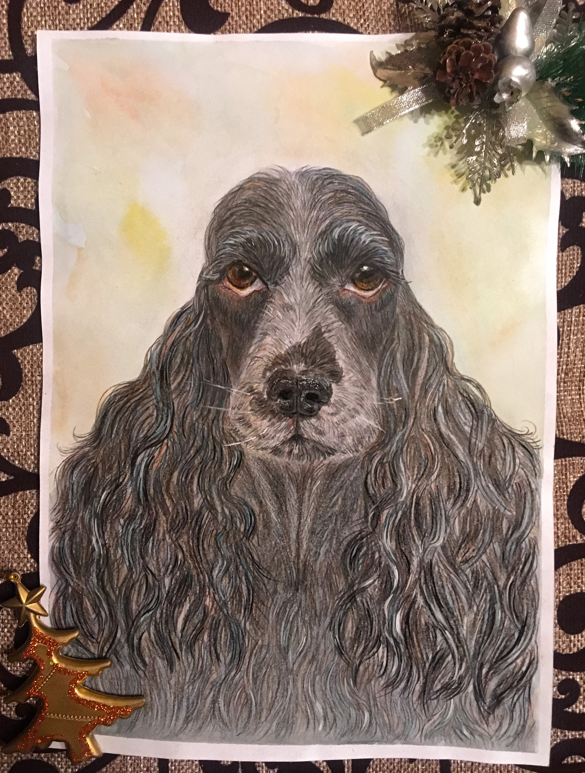 Portrait of an English Cocker Spaniel - My, Cocker Spaniel, Dog, Animalistics, Portrait, Watercolor, Watercolor pencils, Graphics, Drawing, Pencil drawing, Art, Animals, Longpost