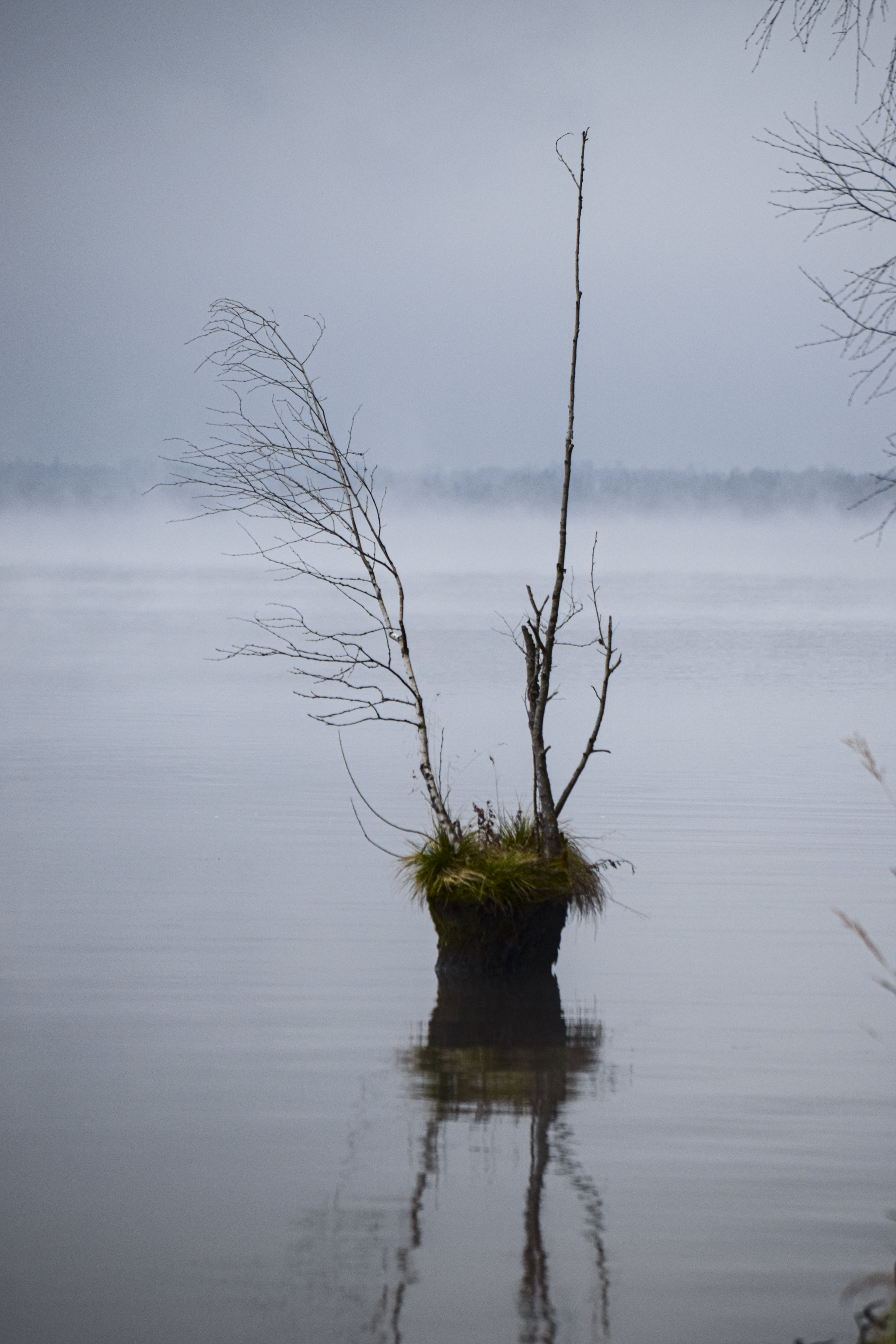 Nature around the peaceful atom - My, Ecology, Winter, freezing, beauty, Nuclear power, Longpost