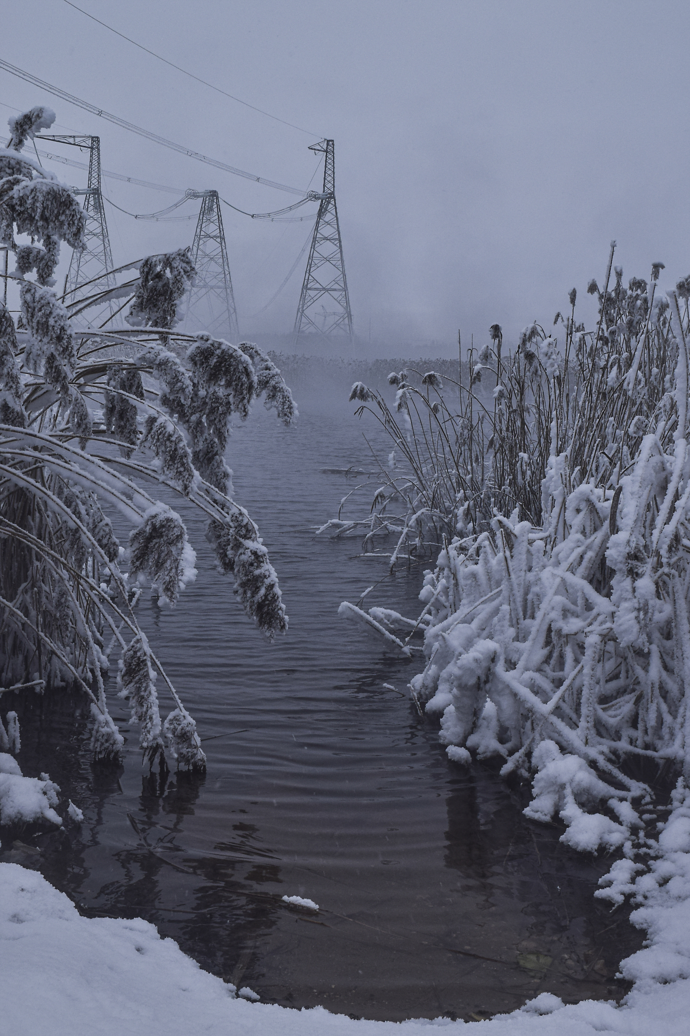 Nature around the peaceful atom - My, Ecology, Winter, freezing, beauty, Nuclear power, Longpost