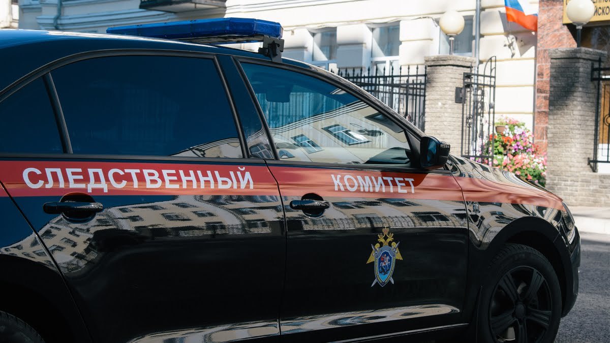 The Investigative Committee opened a criminal case on the involvement of minors in illegal actions due to calls on social networks to go to rallies - Politics, news, investigative committee, Russia, Alexey Navalny, Protest, Rally, Longpost