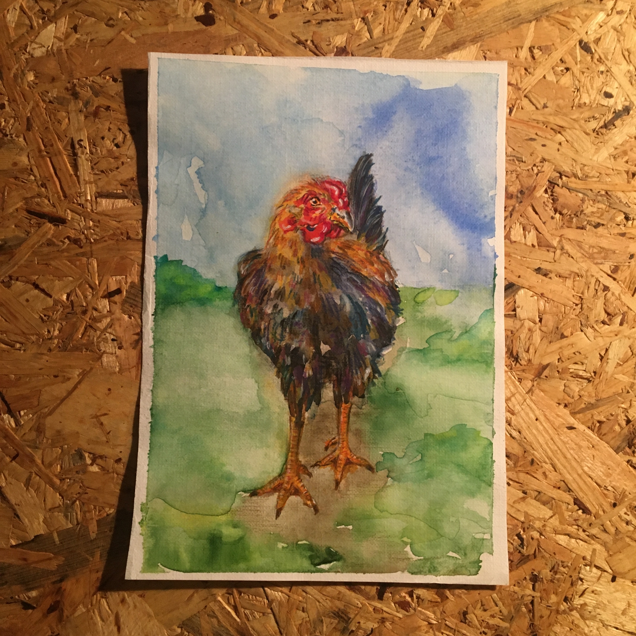 Cockerel/watercolor, A5 - My, The Golden Cockerel, Rooster, Animals, Hen, Animalistics, Watercolor, Wet watercolor, Drawing, Paints, Illustrations, Plein air, Painting, Sale, Suzdal, Longpost