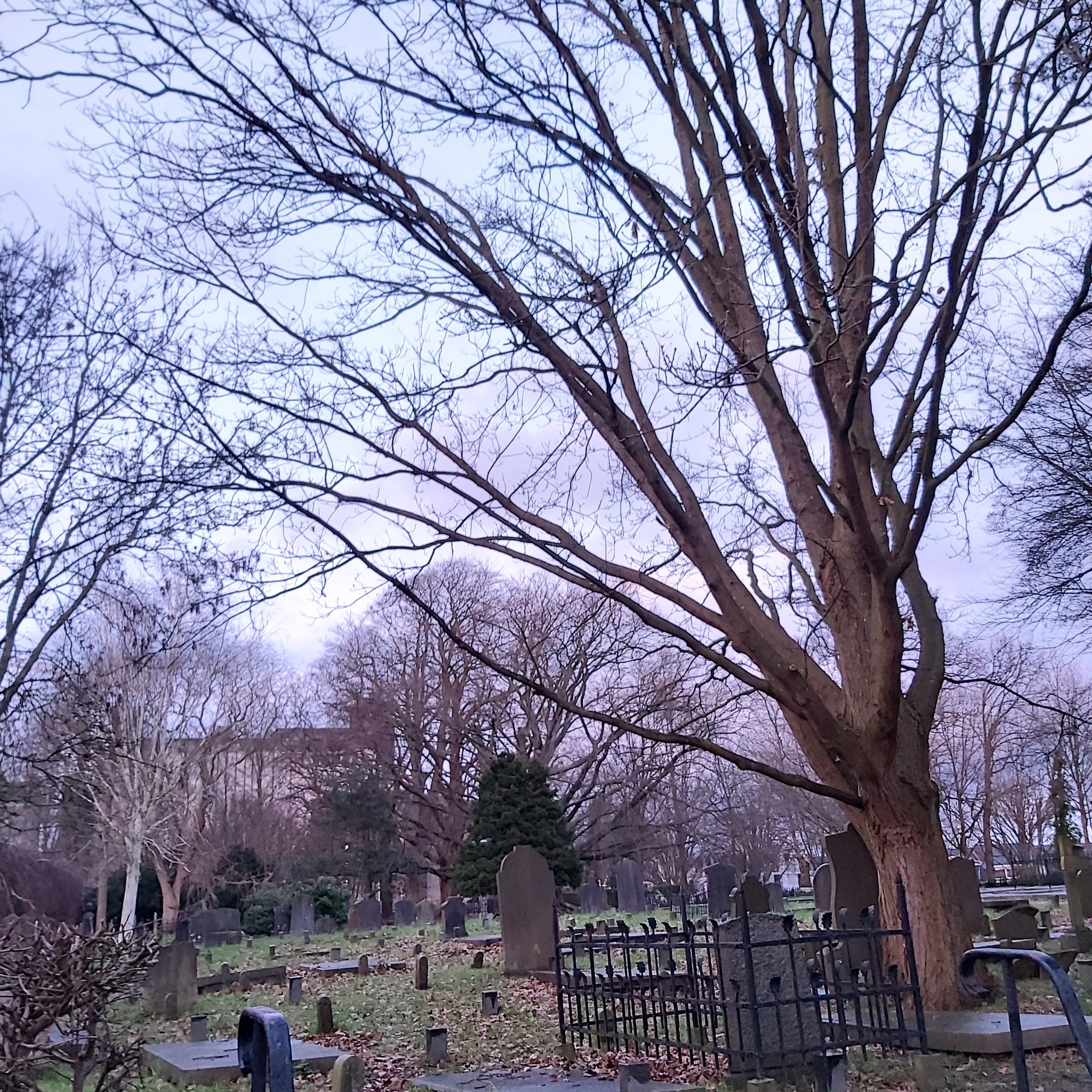 Ancient cemetery Leiden - My, The photo, Netherlands (Holland), Cemetery, Leiden, Longpost