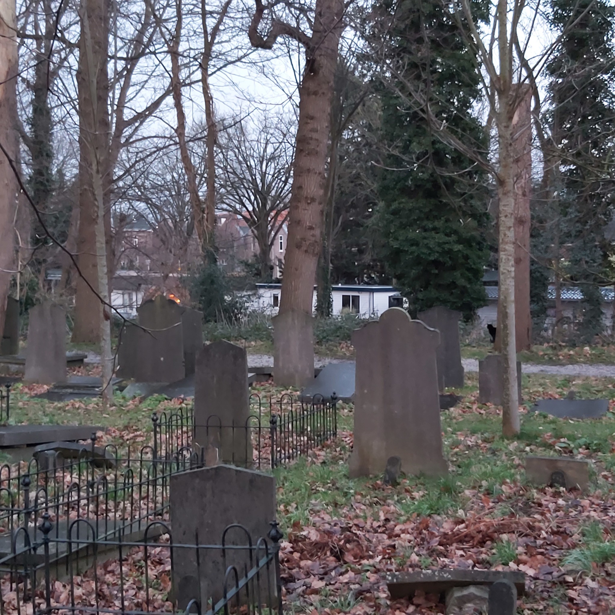 Ancient cemetery Leiden - My, The photo, Netherlands (Holland), Cemetery, Leiden, Longpost