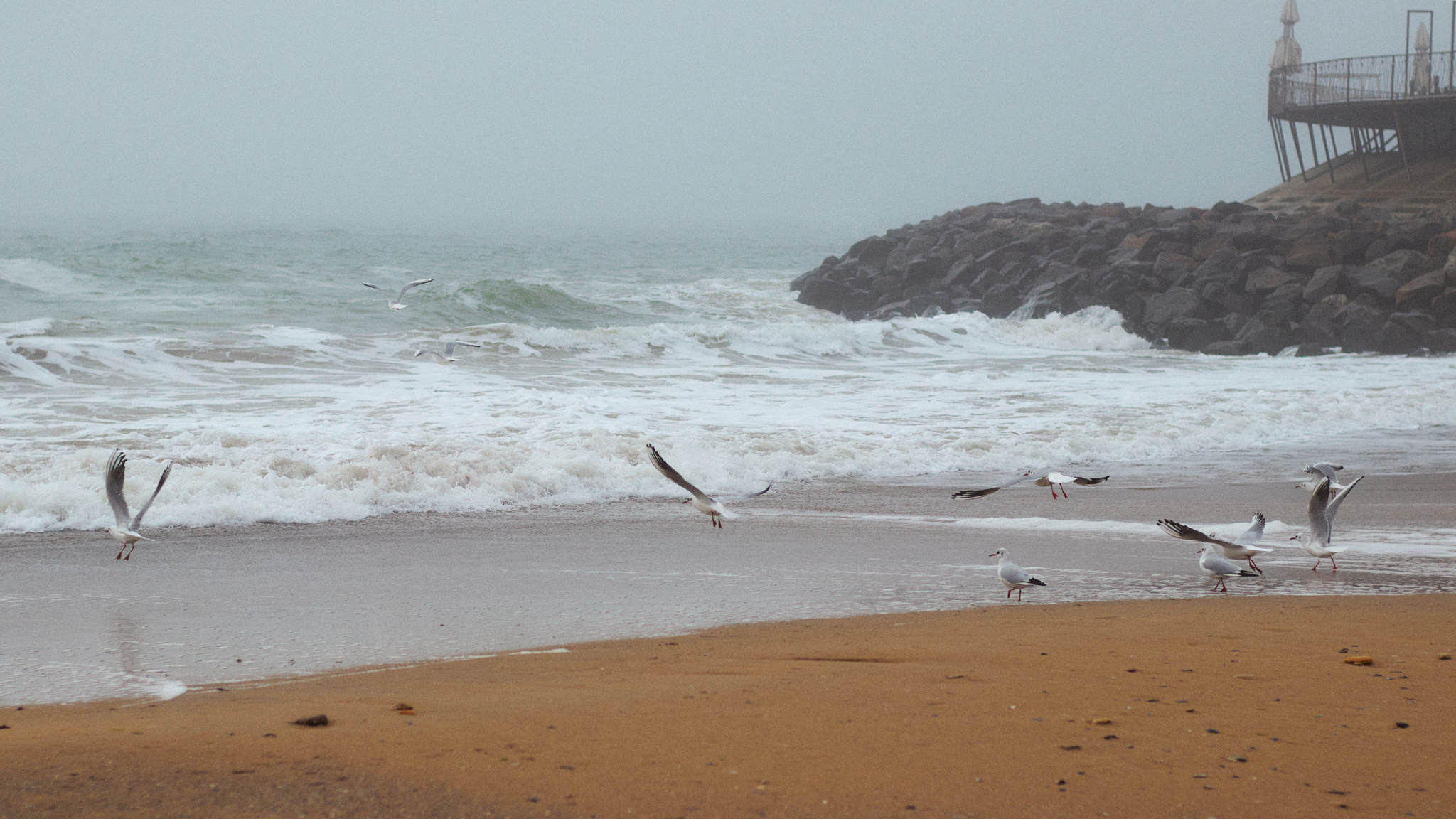 Black Sea today - My, Sea, The photo