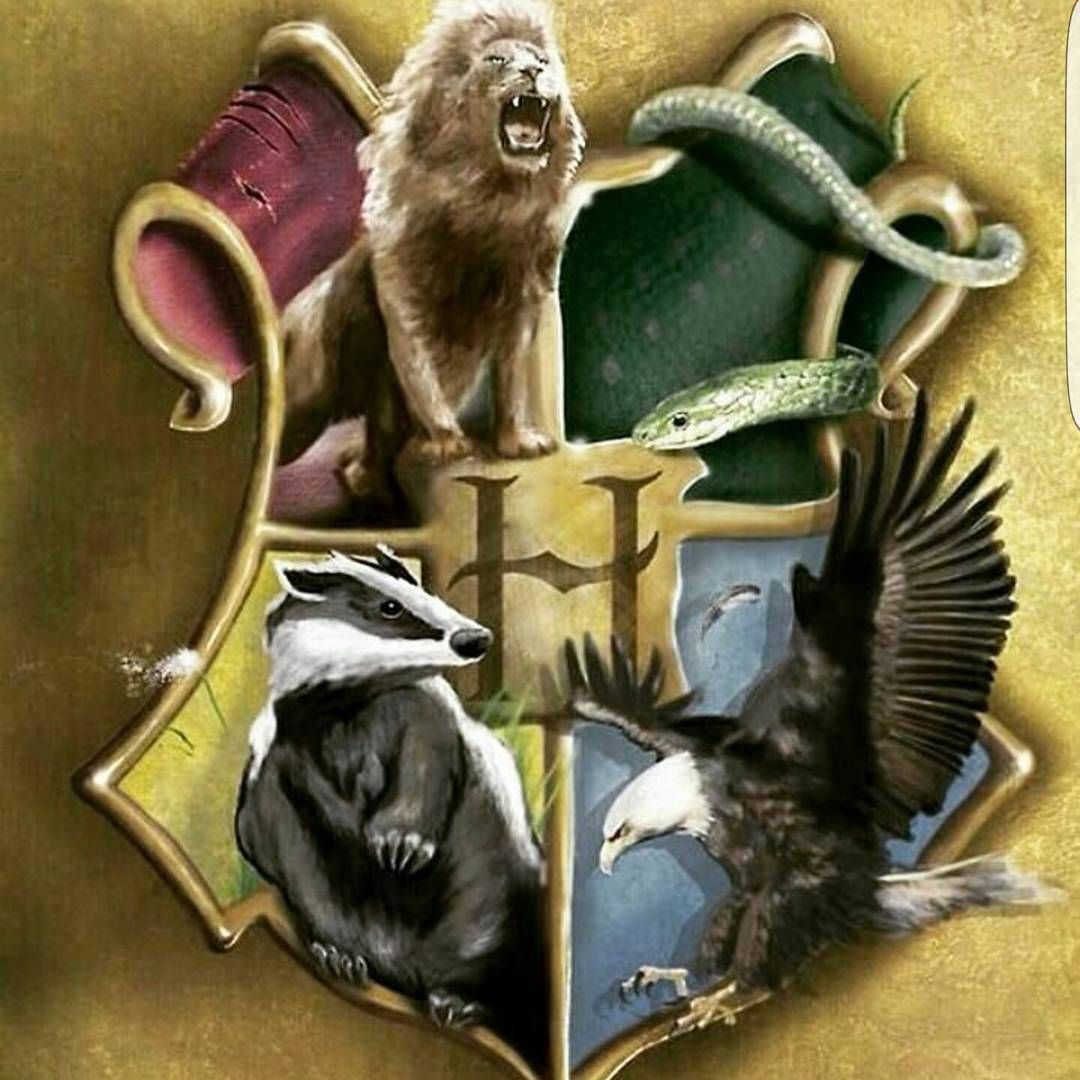 The beginning of Hogwarts history - My, Harry Potter, Hogwarts, Books, Story, Longpost