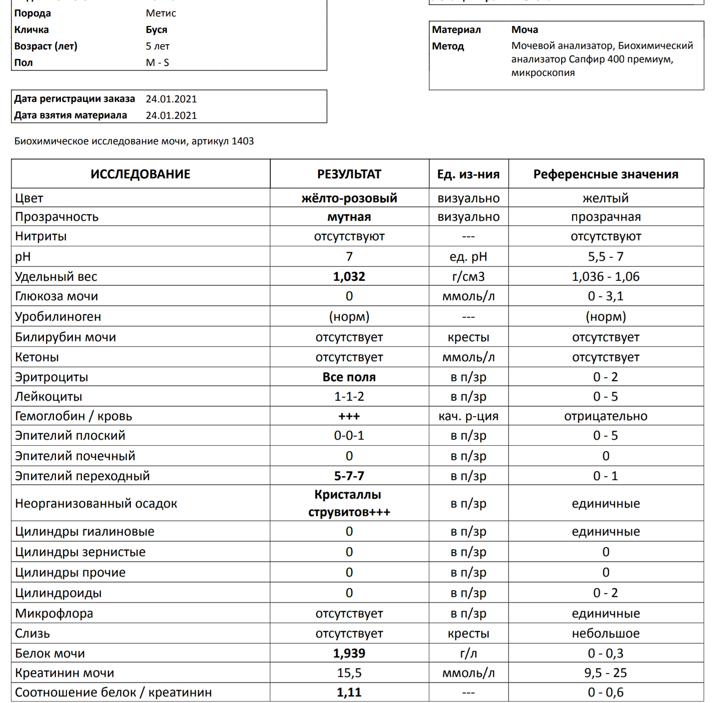 League of Veterinarians! Help - My, cat, Medical tests, Veterinary, Longpost