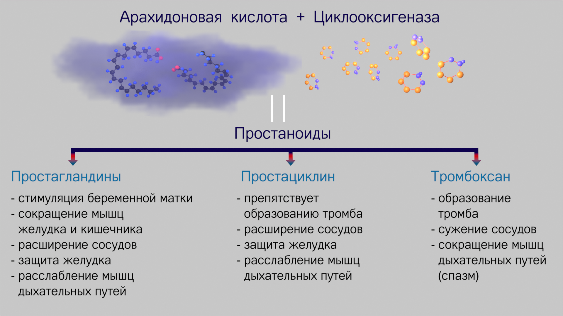 Наши внутренние войска: эйкозаноиды и простагландины - Моё, Иммунитет, Иммунология, Аспирин, Медицина, Длиннопост