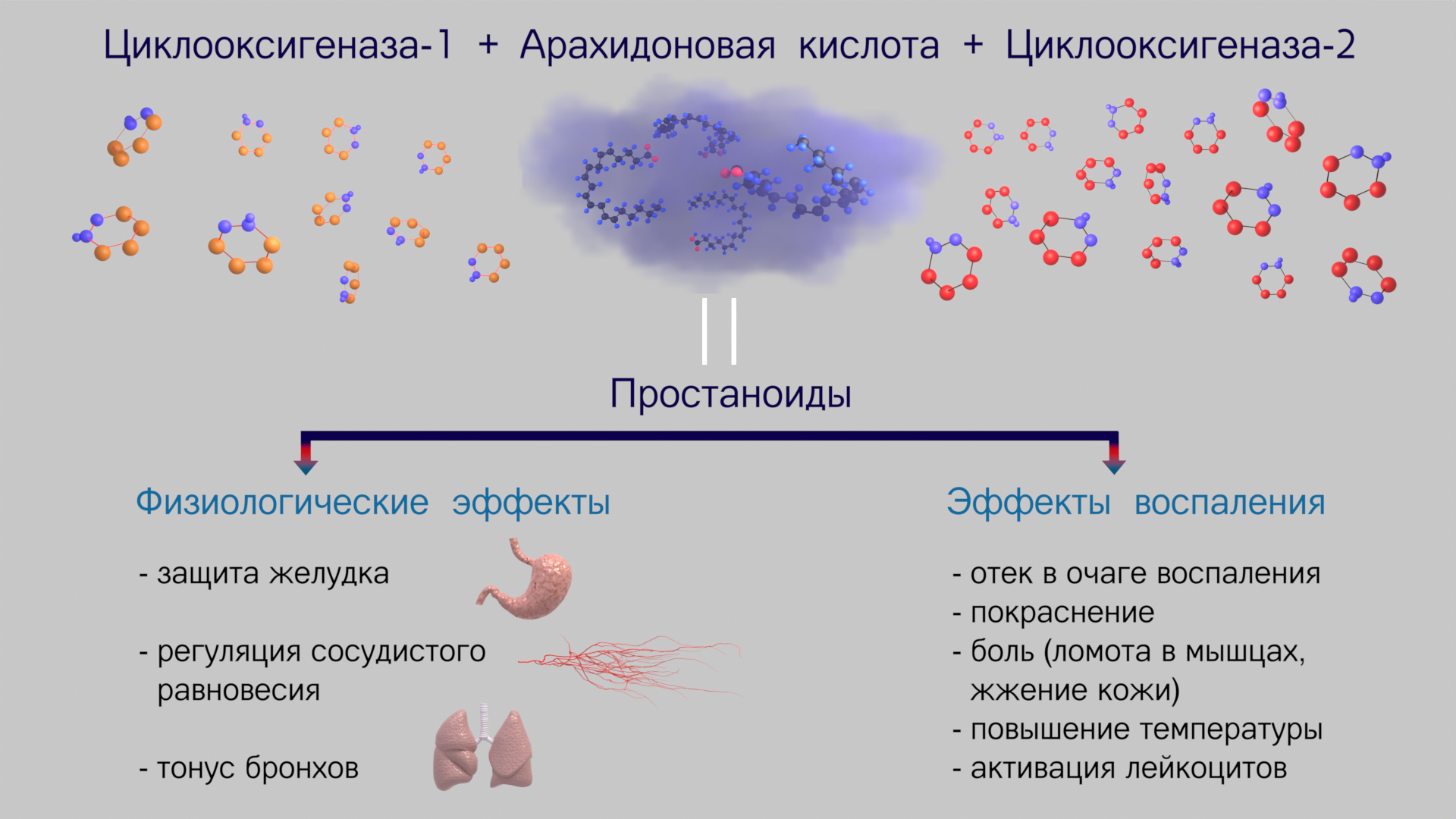 Наши внутренние войска: эйкозаноиды и простагландины - Моё, Иммунитет, Иммунология, Аспирин, Медицина, Длиннопост