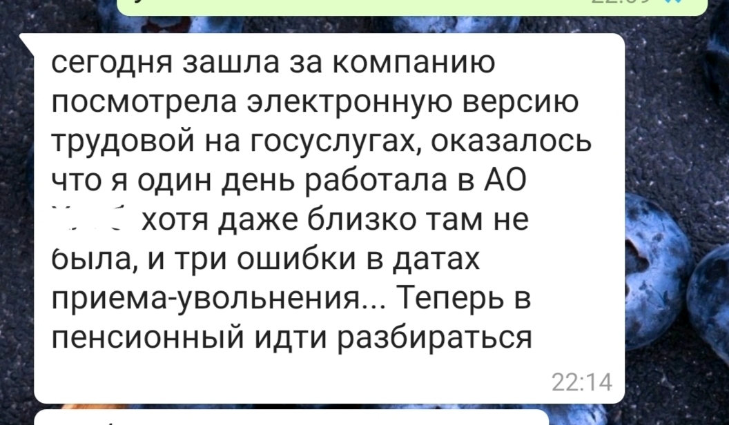 Наступила эра электронных трудовых книжек - Моё, Трудовая книжка, Ошибка, Госуслуги, Пенсионный фонд