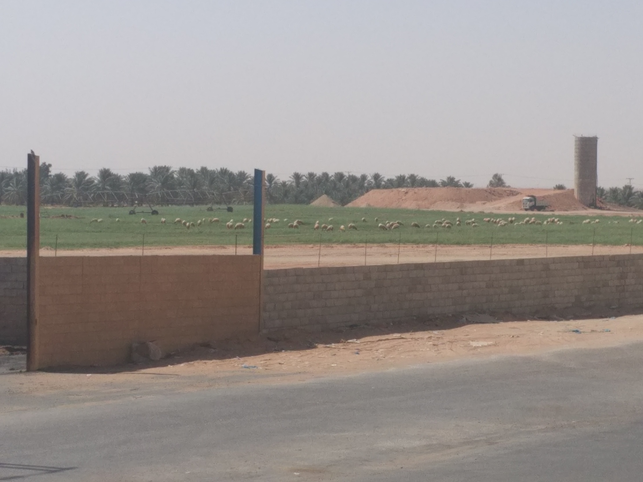 Agriculture and life in the middle of the desert. (Saudi Arabia) - My, Saudi Arabia, Arabian Desert, Сельское хозяйство, Irrigation, Longpost, Desert, Water