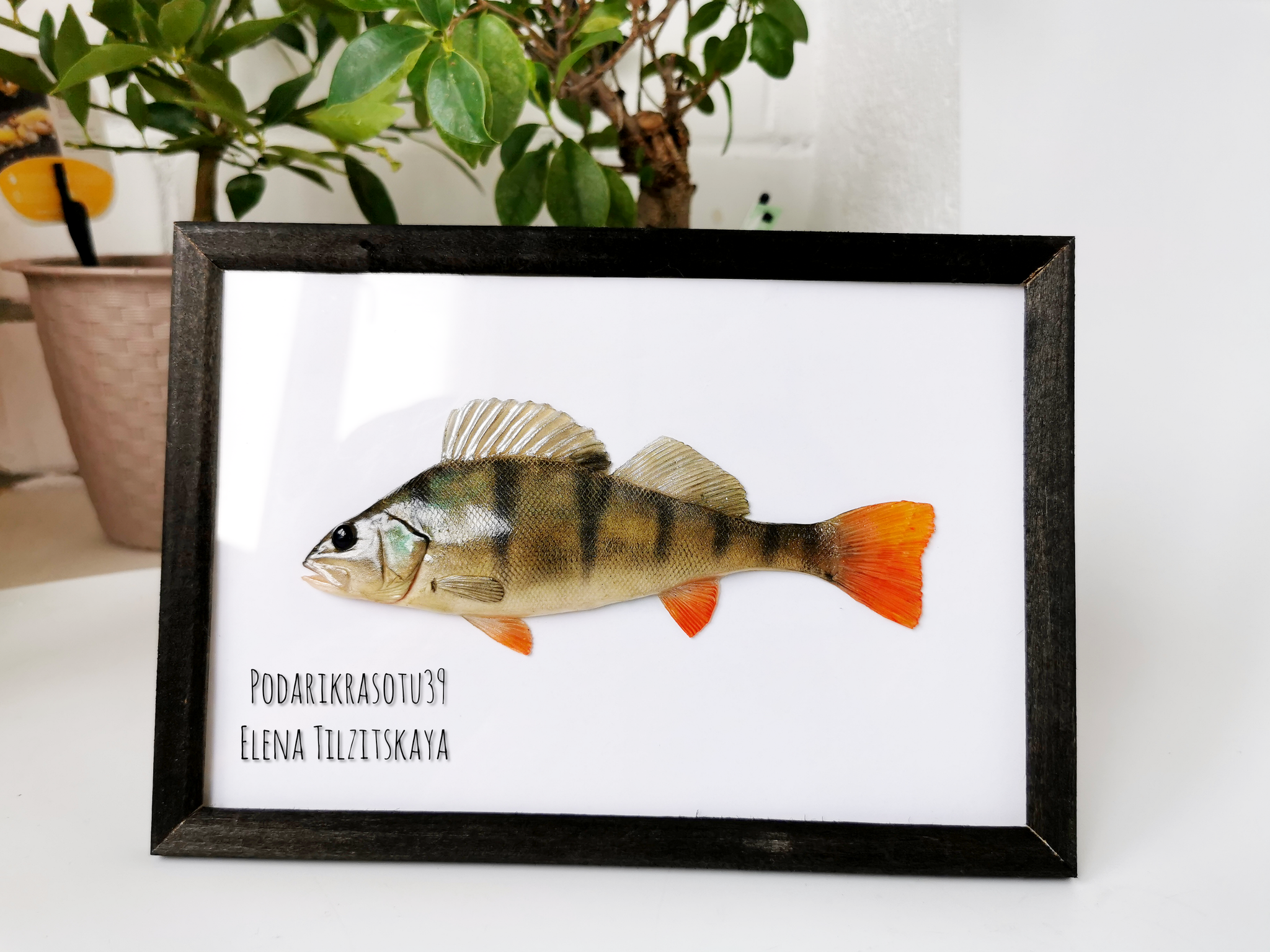 For those who love to contemplate - My, A fish, Perch, Frame, Decor, Idea, Needlework without process, Creation, Longpost