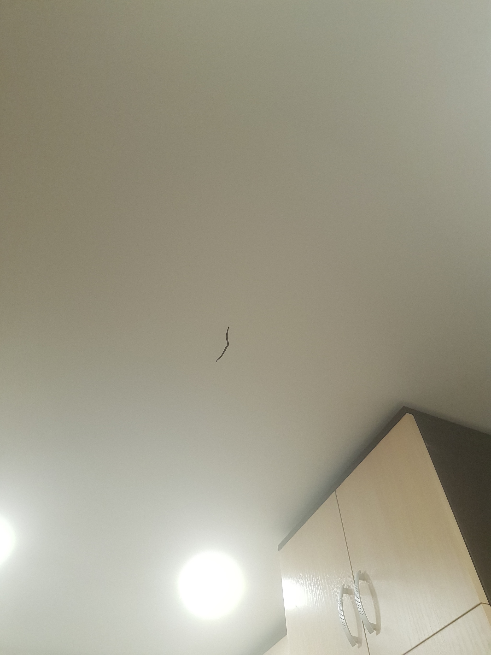 Need help with a suspended ceiling, Peter (Kudrovo) - My, Stretch ceiling, Fail, Need advice, Need help with repair, Longpost