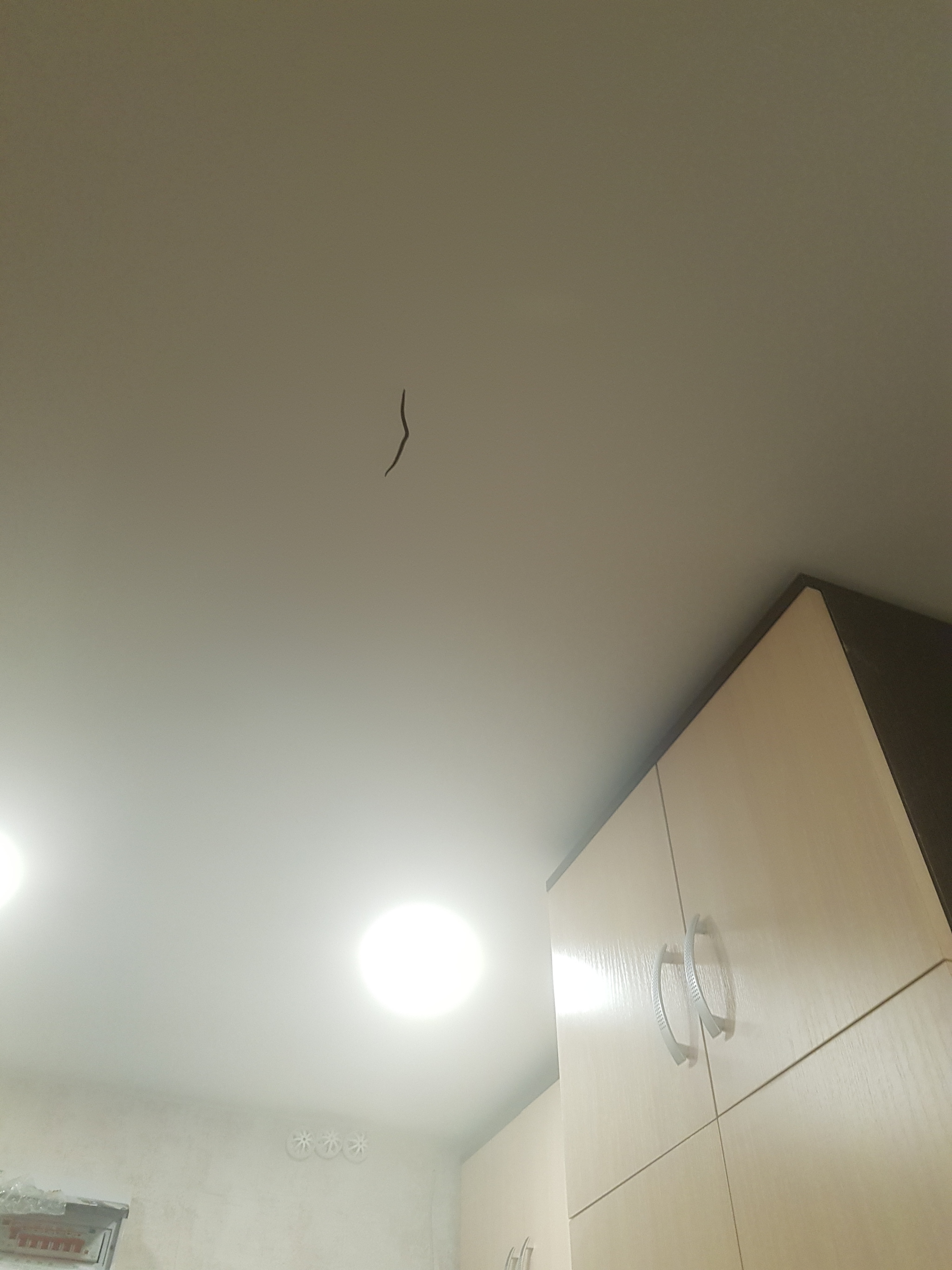 Need help with a suspended ceiling, Peter (Kudrovo) - My, Stretch ceiling, Fail, Need advice, Need help with repair, Longpost