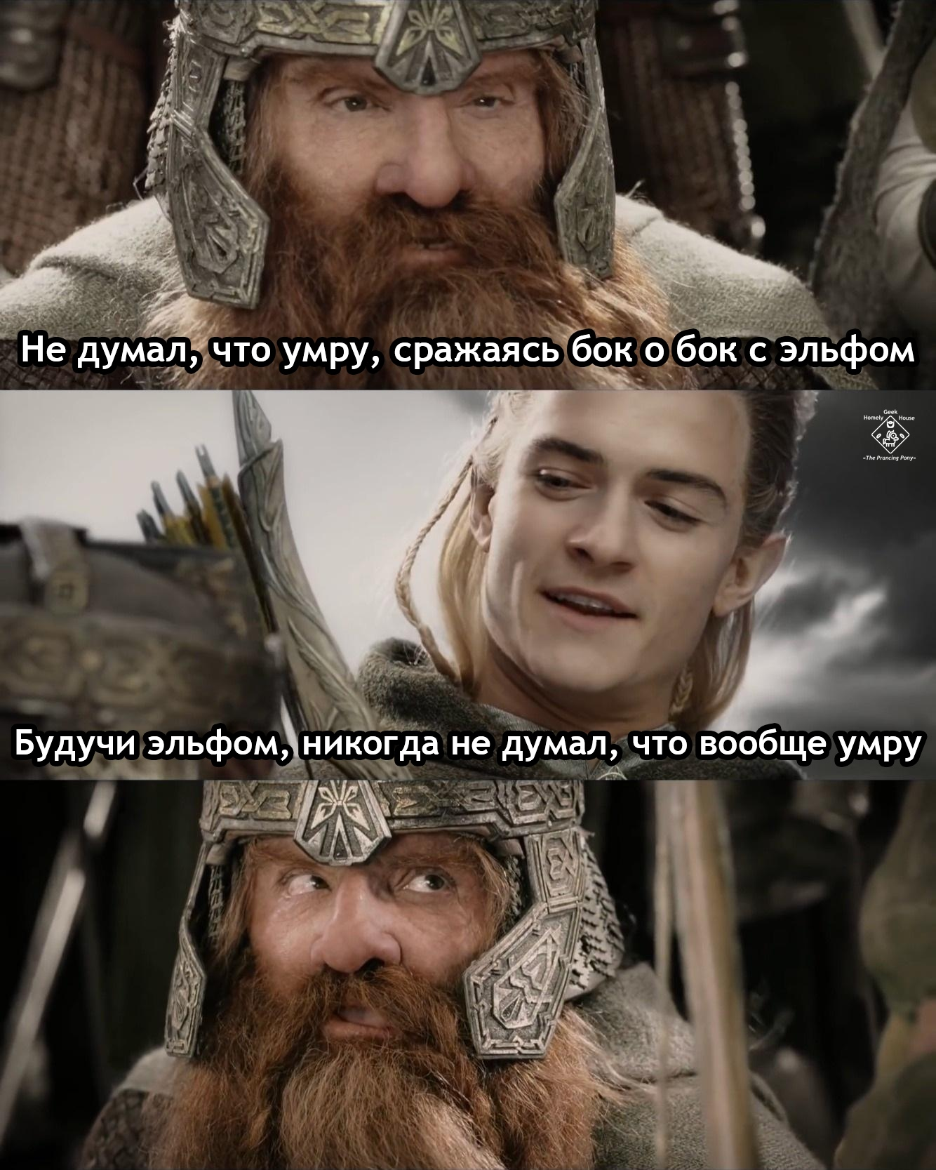 Oh those elves - Lord of the Rings, Legolas, Gimli, Elves, Translated by myself, Picture with text