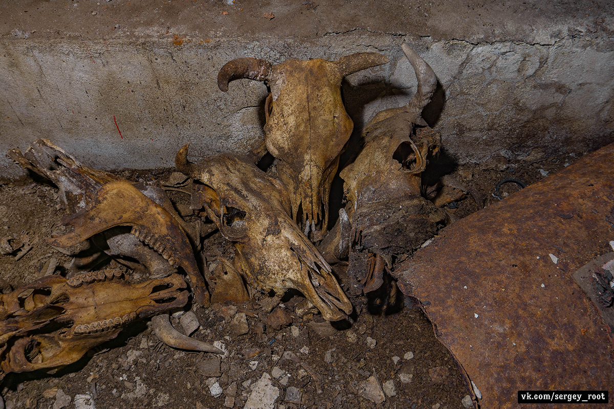 Abandoned rock bomb shelter - My, Collapse of the USSR, Abandoned, Bomb shelter, Longpost