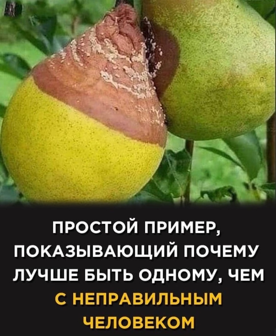 Наглядно - Груша, Гниль, Люди