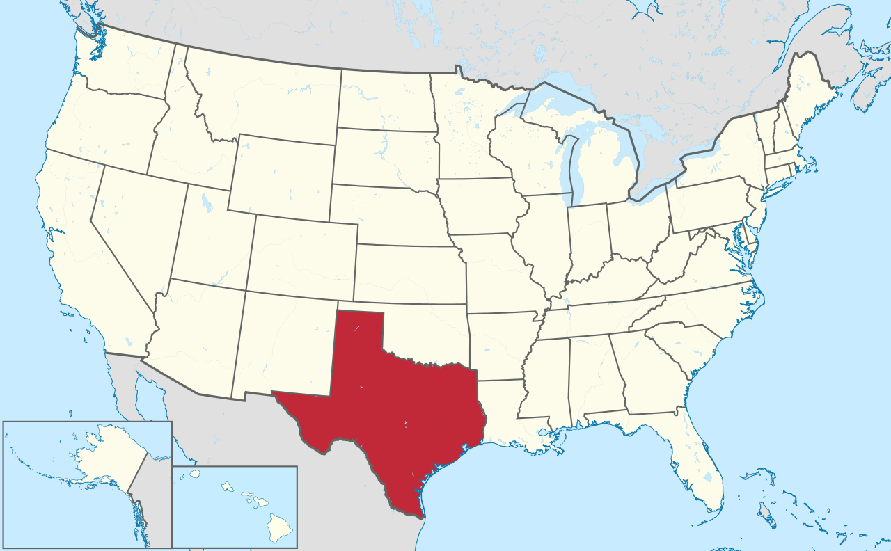 Especially in the Texas House of Representatives they proposed holding a referendum on secession from the United States. I liked the cables... - Texas, Politics, USA