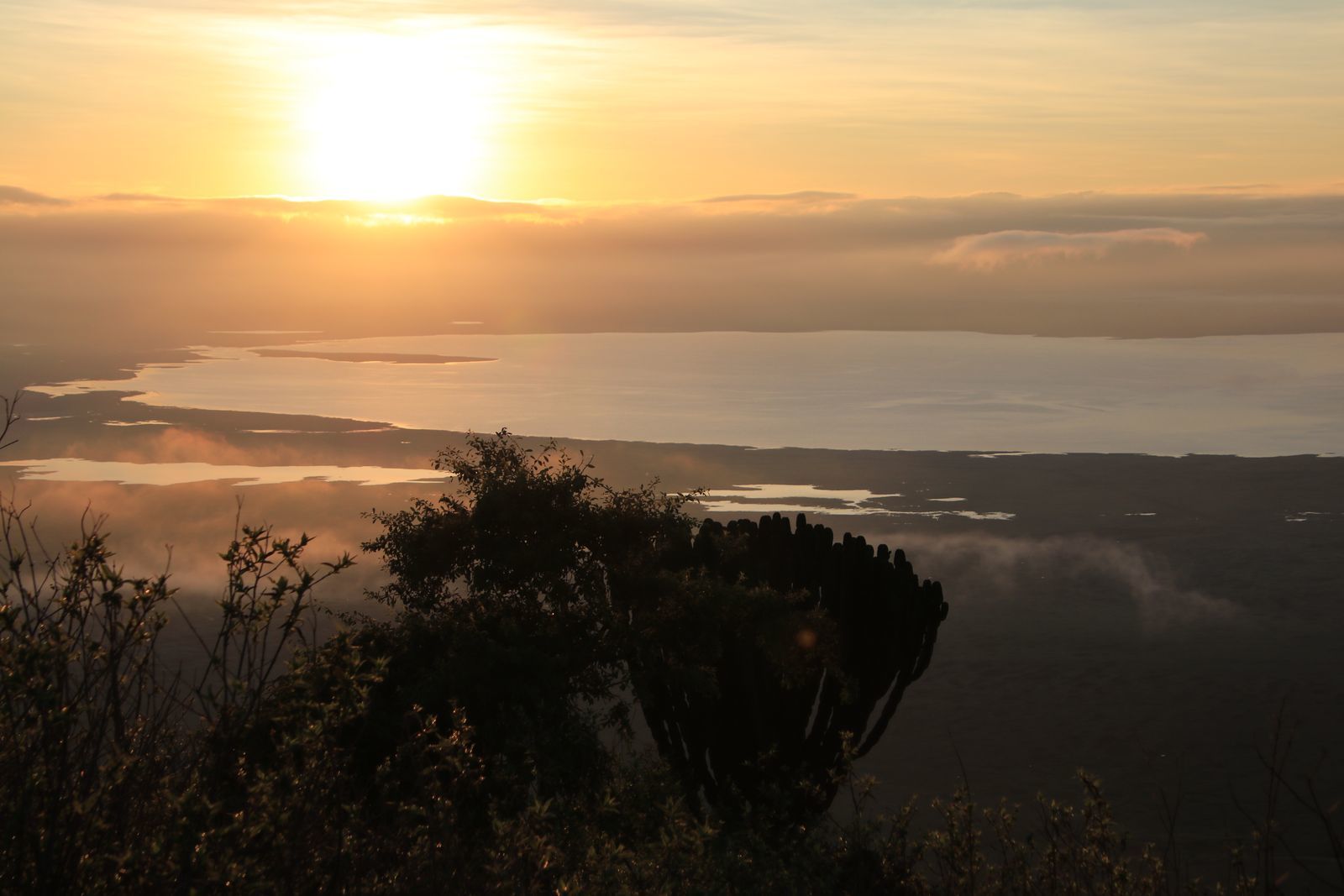 Safari in Tanzania. Serengeti and Ngorongoro - My, Safari, Travels, Serengeti, Wild animals, Africa, Longpost