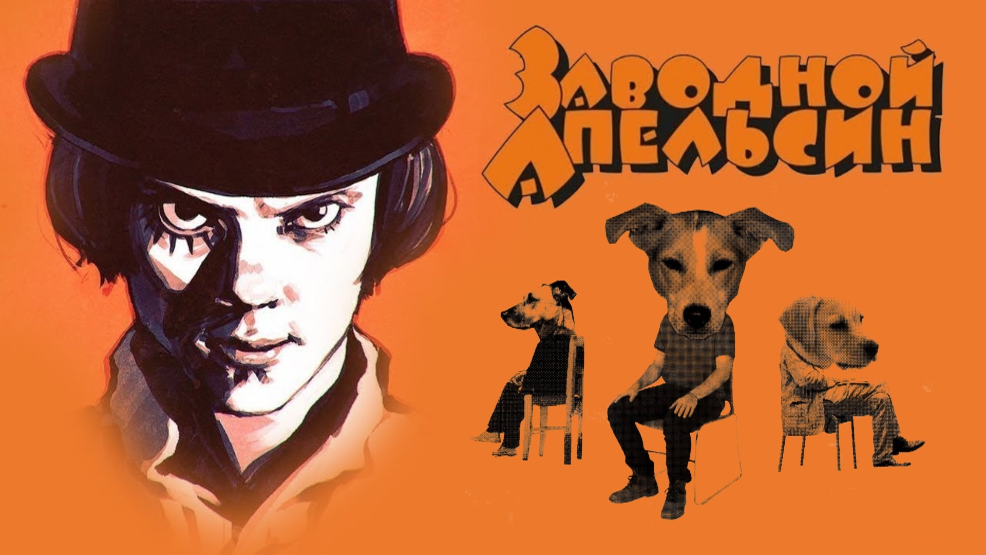 The film A Clockwork Orange: How the viewer is turned into Pavlov's dog - Stanley Kubrick, Movies, A clockwork orange, Manipulation, Propaganda, Longpost