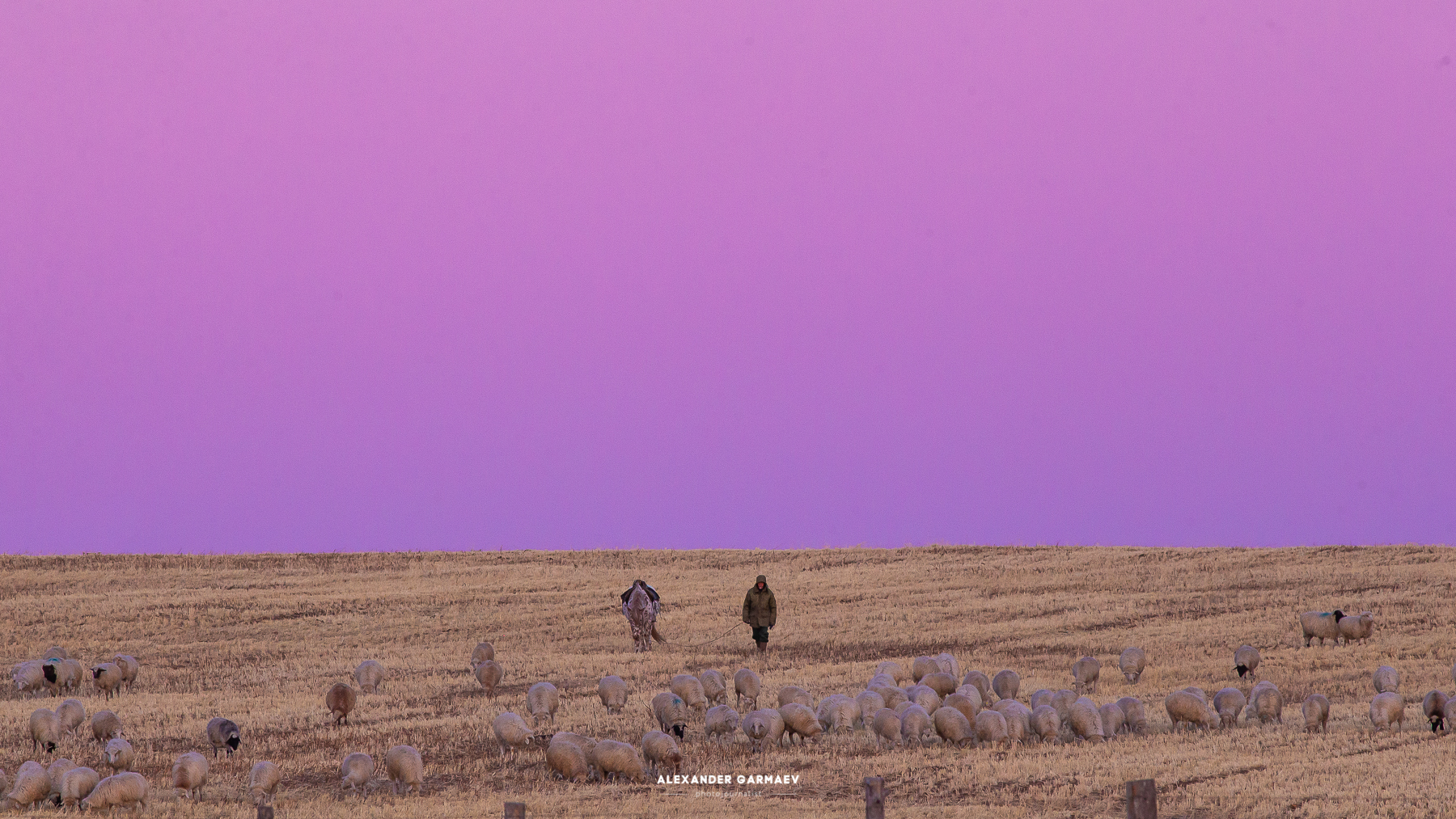 Steppe, Transbaikalia, Winter - My, Transbaikalia, Aginskoye, Nomads, Steppe, Winter, Shepherd, Longpost