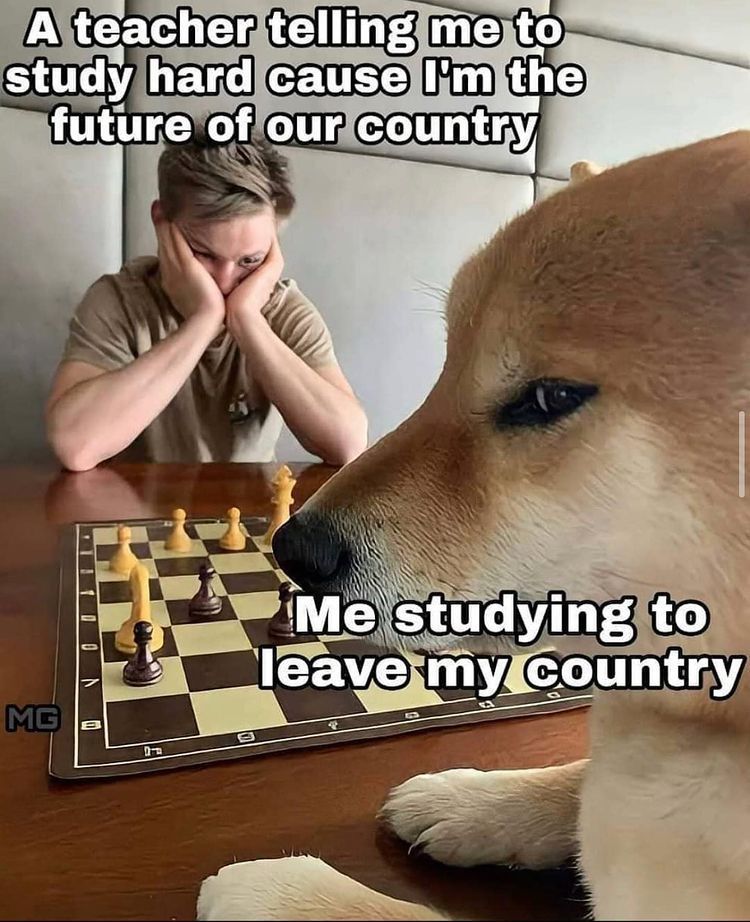 Well at least it's honest - Dog, Chess, Studies, English language