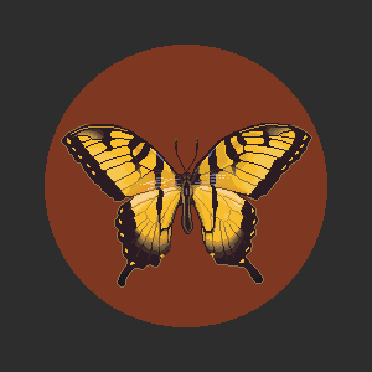 Papilio glaucus - Моё, Pixel Art, Арт, Рисунок