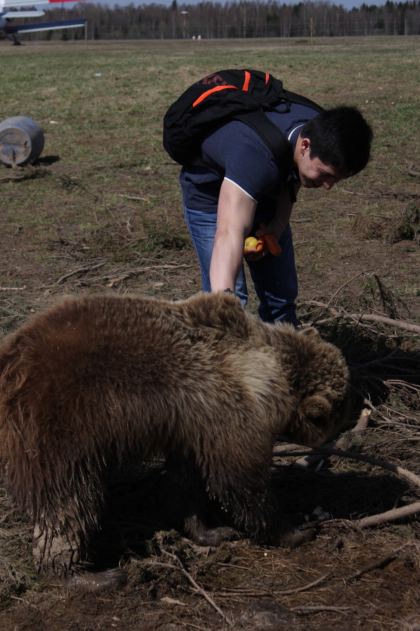 Dumplings with a surprise - My, Vareniki, Surprise, Traditions, The Bears, Dumplings, Longpost