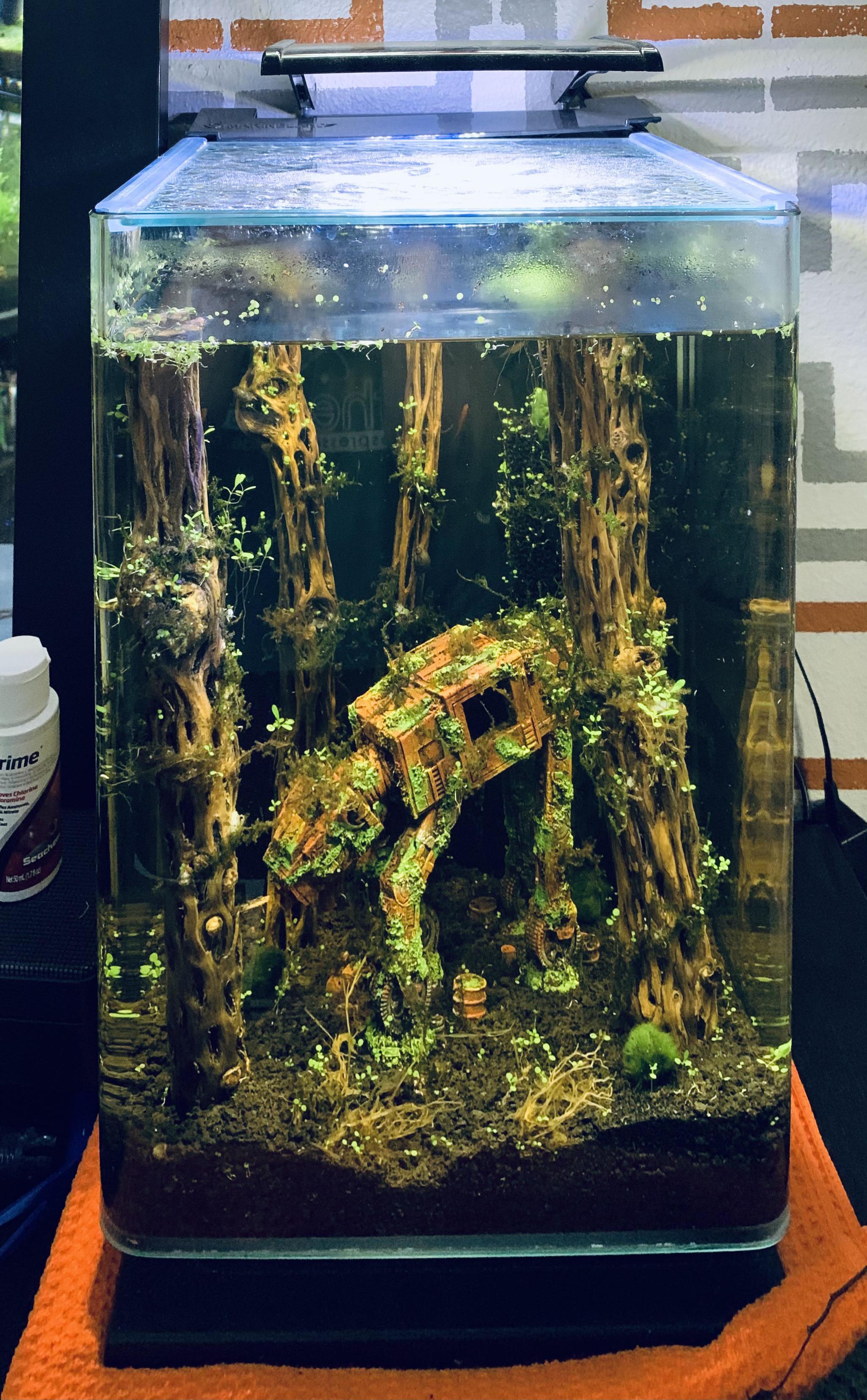 Star Wars fan's aquarium - Aquarium, Star Wars, The photo, Reddit, Walker