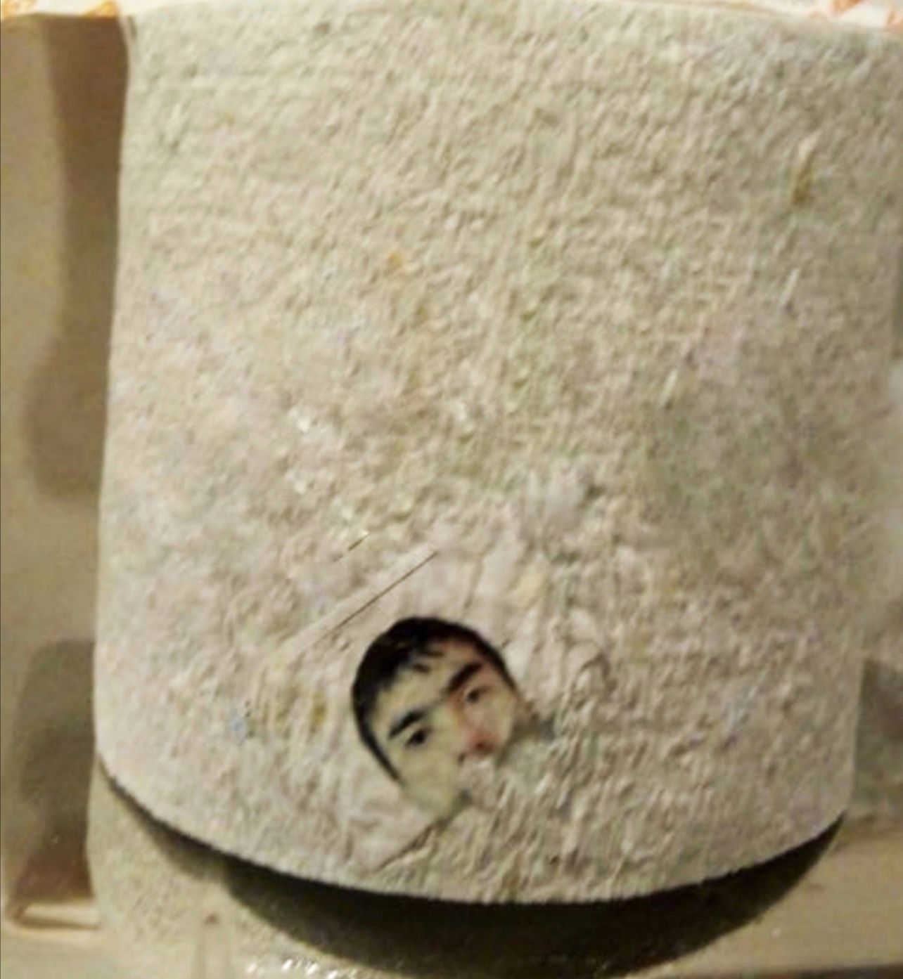 Hello beauty, are you alone here? - Humor, Toilet paper, Tackle