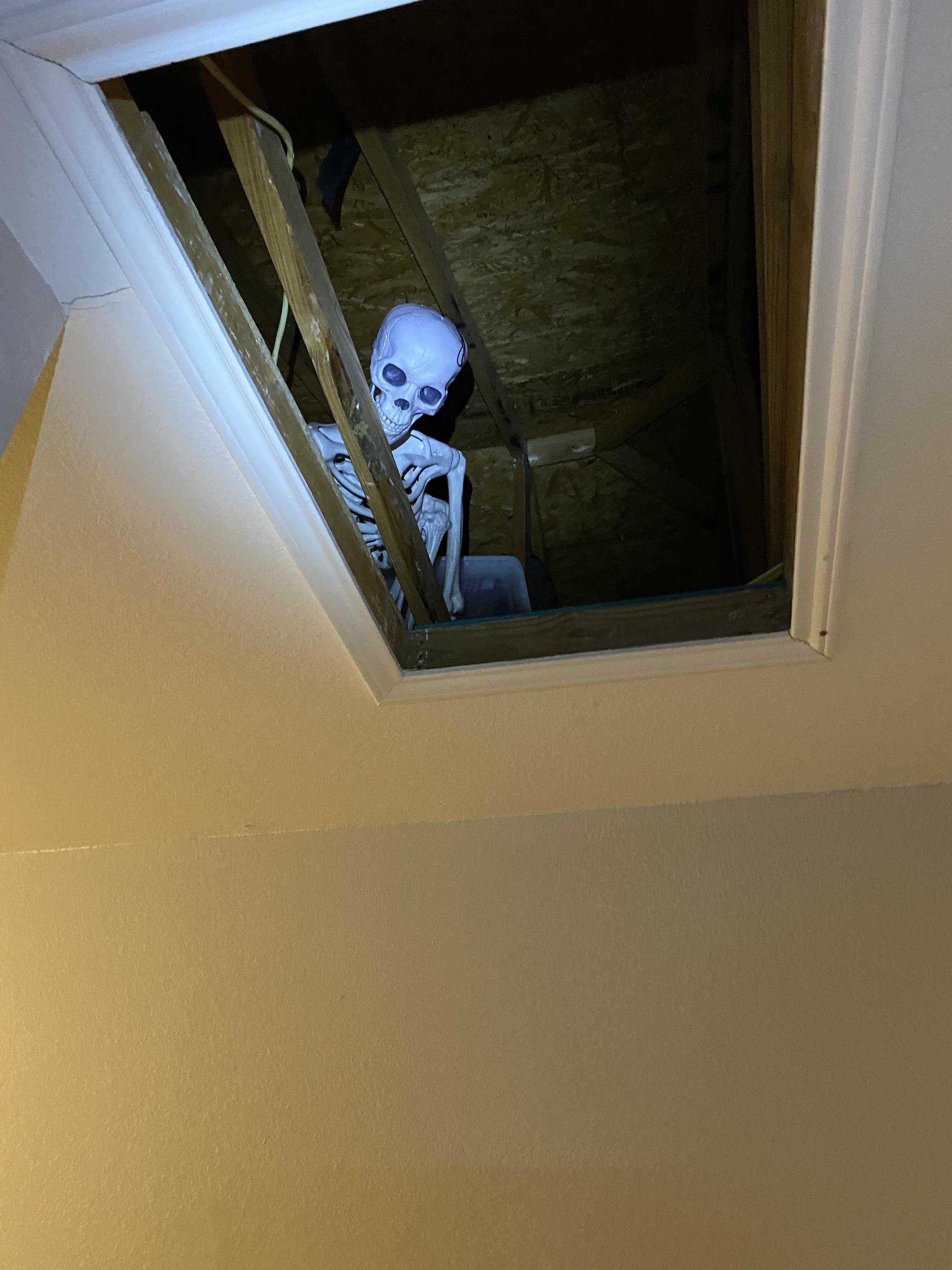 The future owner will be excited when he opens the attic - Skeleton, Attic, Reddit